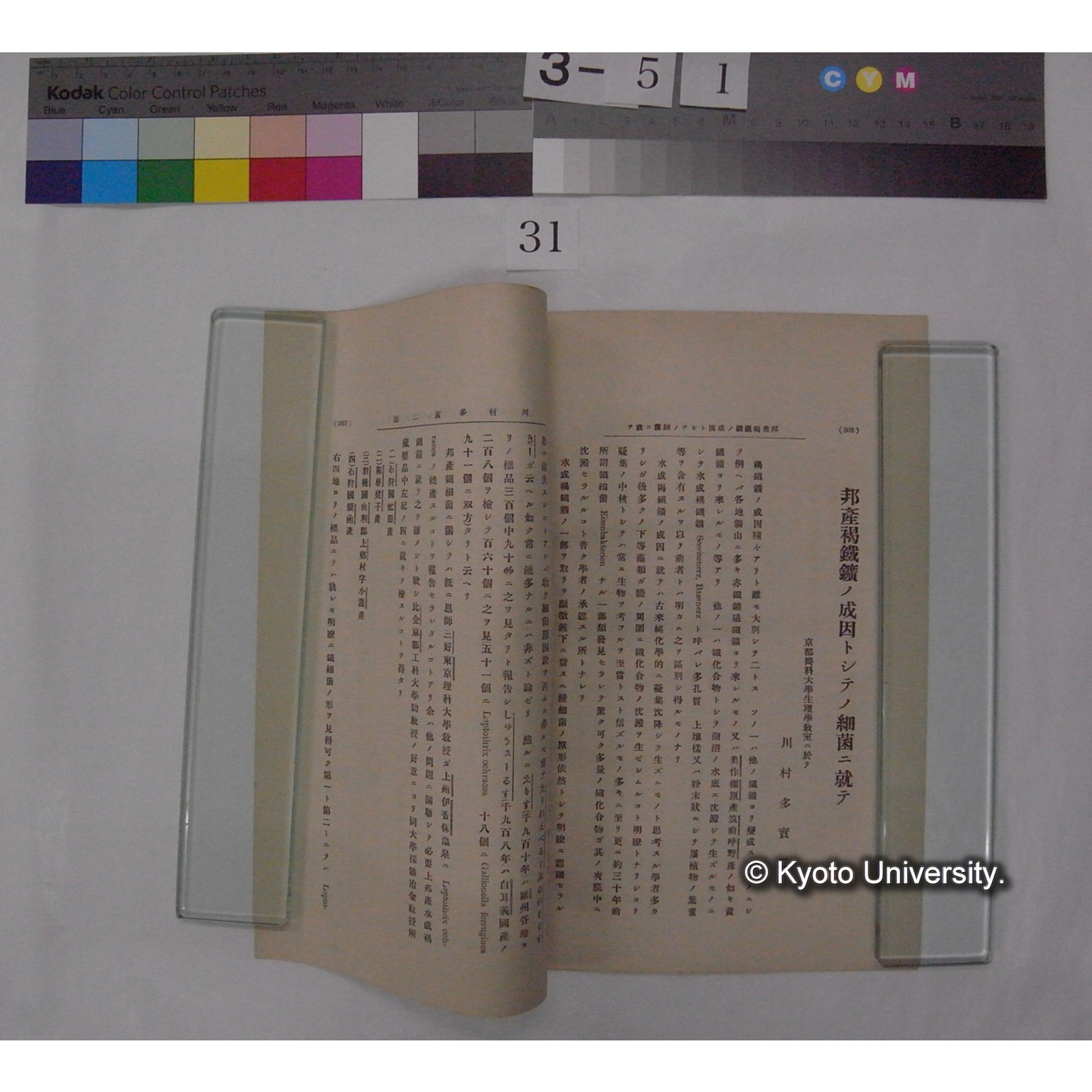 邦産褐鉄鉱ノ成因トシテノ細菌ニ就テ / 川村多實二述 (日本微生物学会雑誌; 1号抜刷) (3)