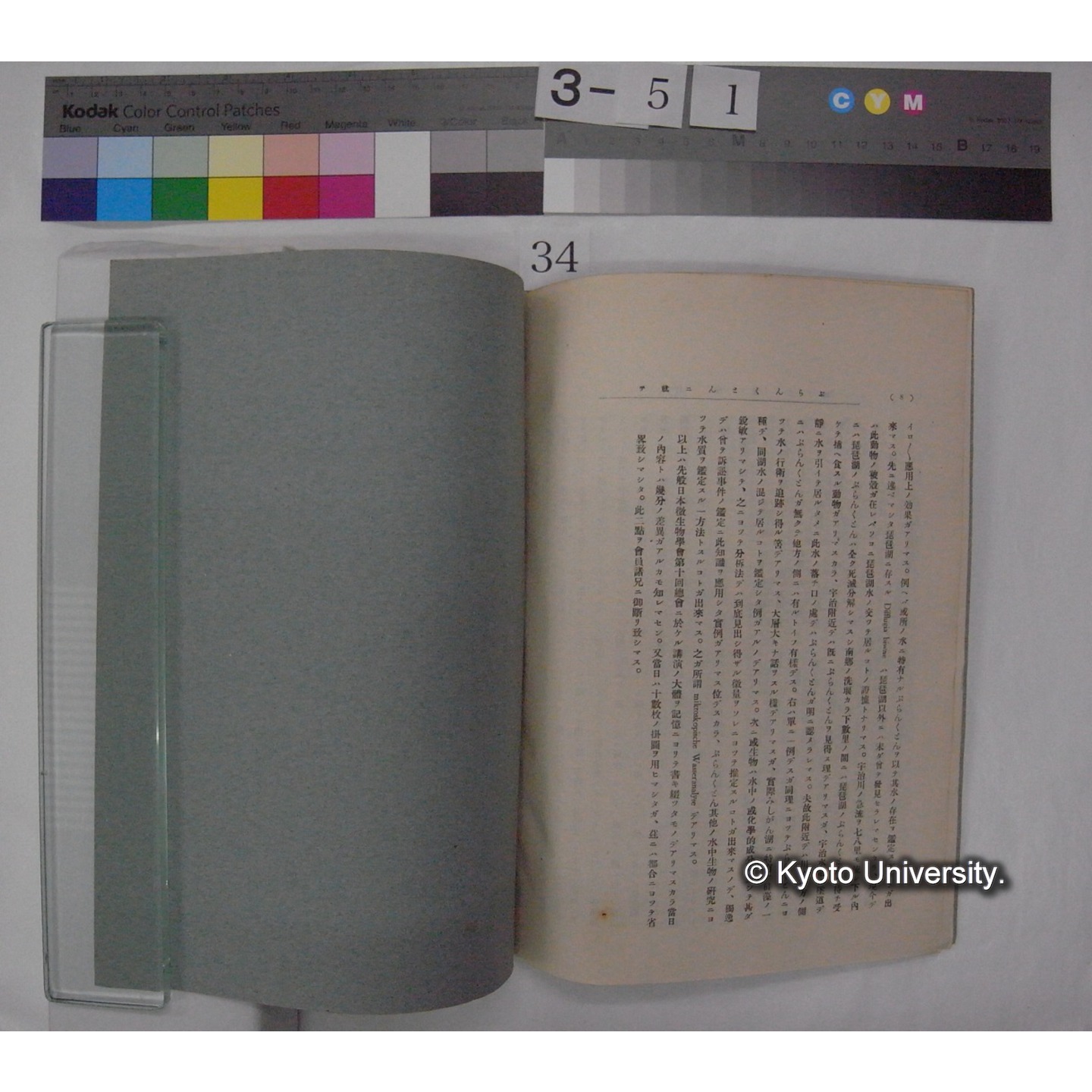 ぷらんくとんニ就テ; (特別講演) / 川村多實二述 (日本微生物学会雑誌; 16巻抜刷) (2)