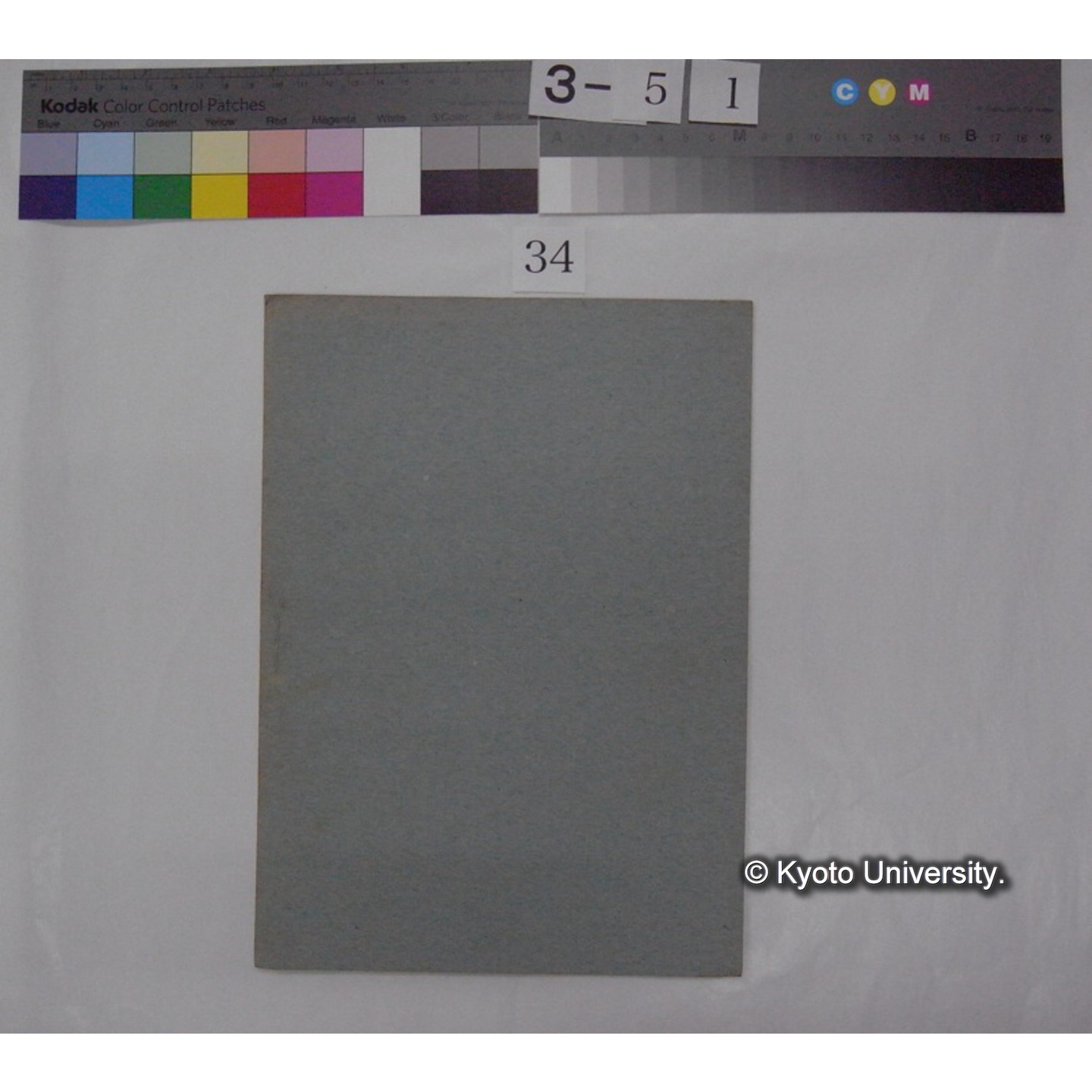 ぷらんくとんニ就テ; (特別講演) / 川村多實二述 (日本微生物学会雑誌; 16巻抜刷) (3)