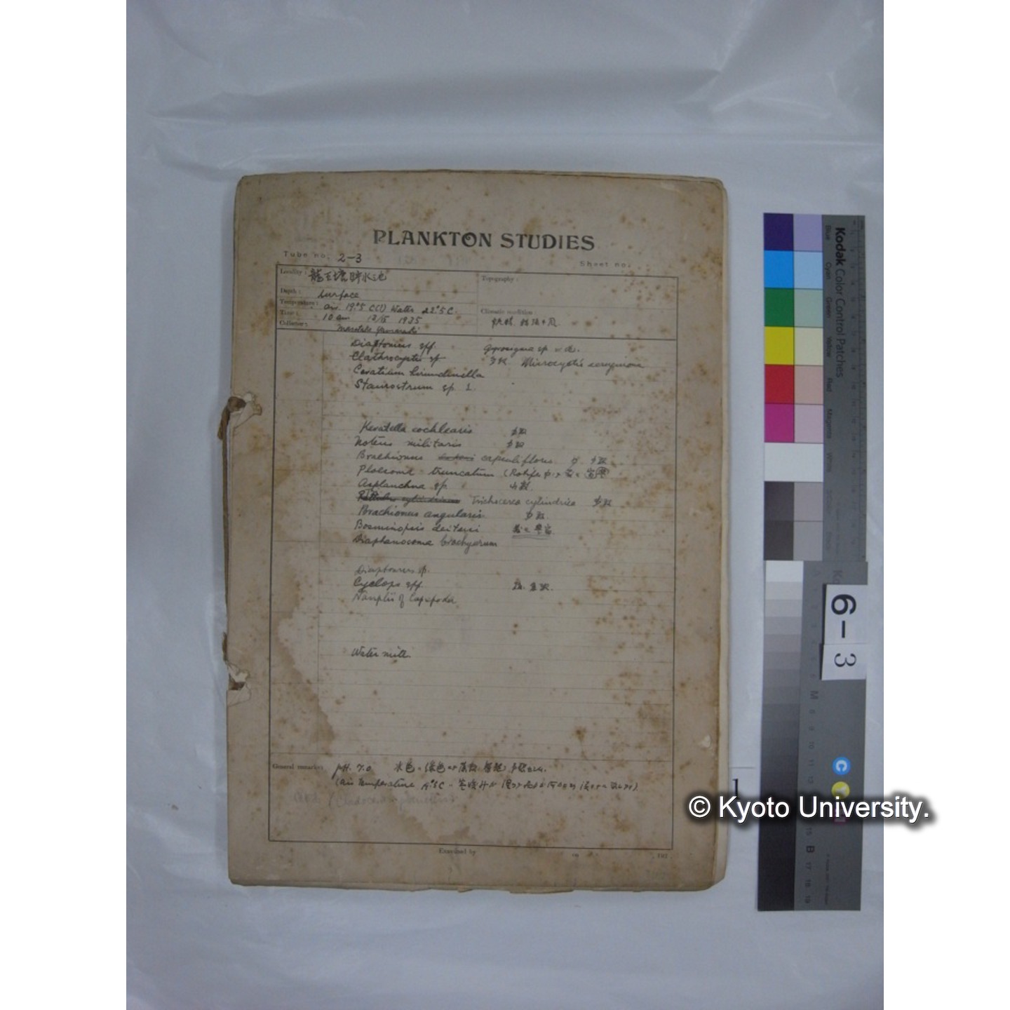 プランクトン標本調査カード (昭和10年,満州調査時採集標本他) (1)
