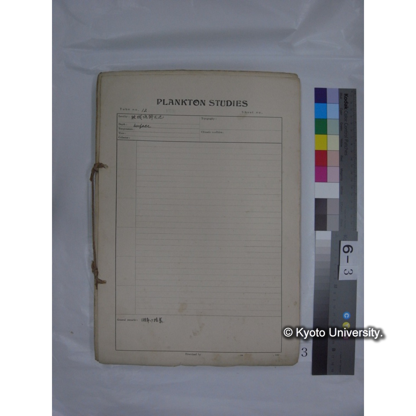 プランクトン標本調査カード (昭和10年,満州調査時採集標本他) (3)