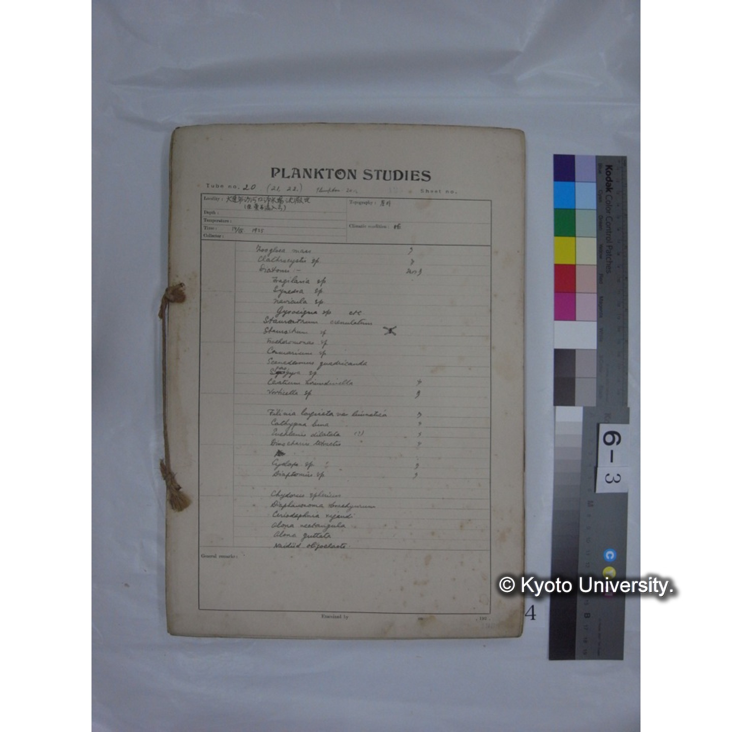 プランクトン標本調査カード (昭和10年,満州調査時採集標本他) (4)