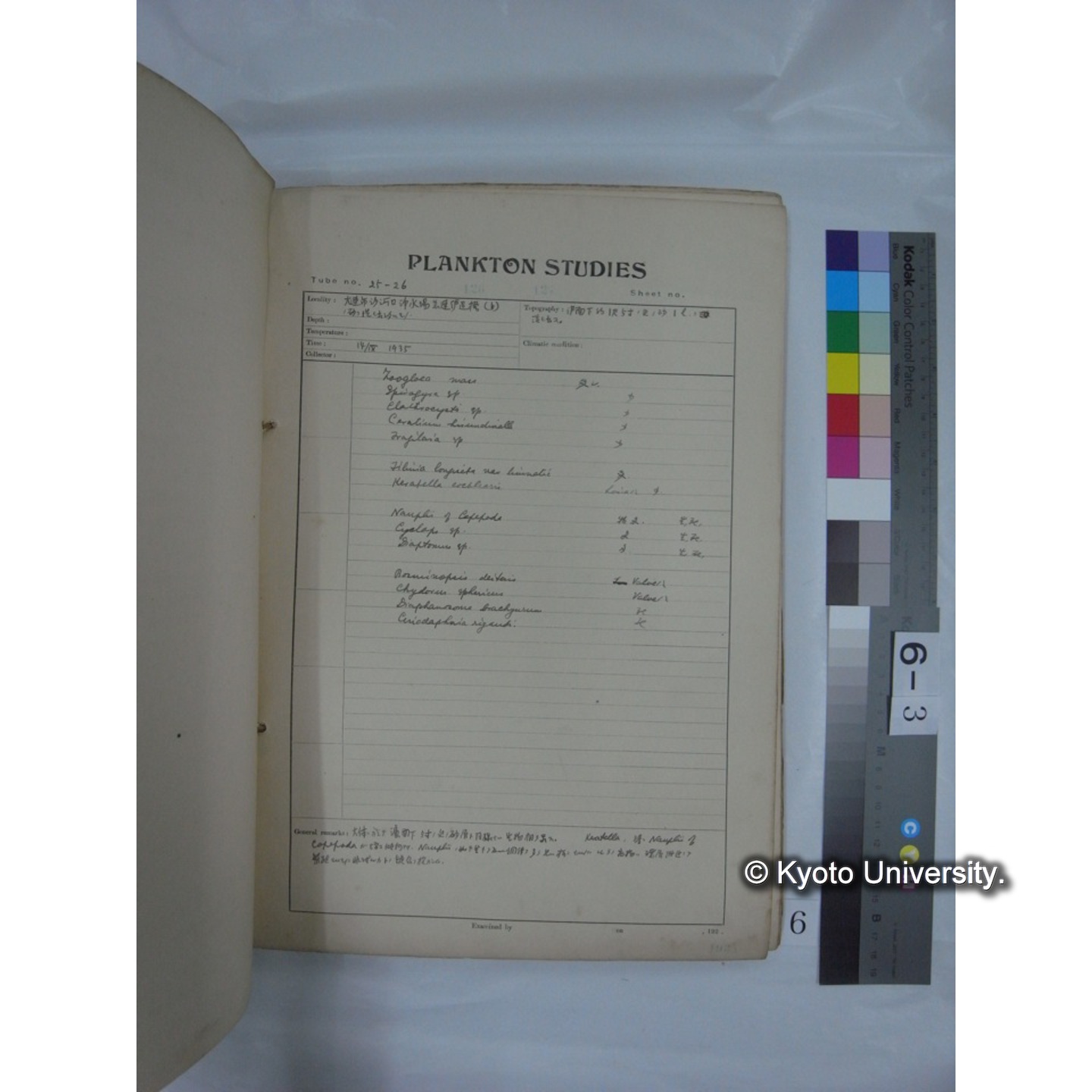 プランクトン標本調査カード (昭和10年,満州調査時採集標本他) (6)