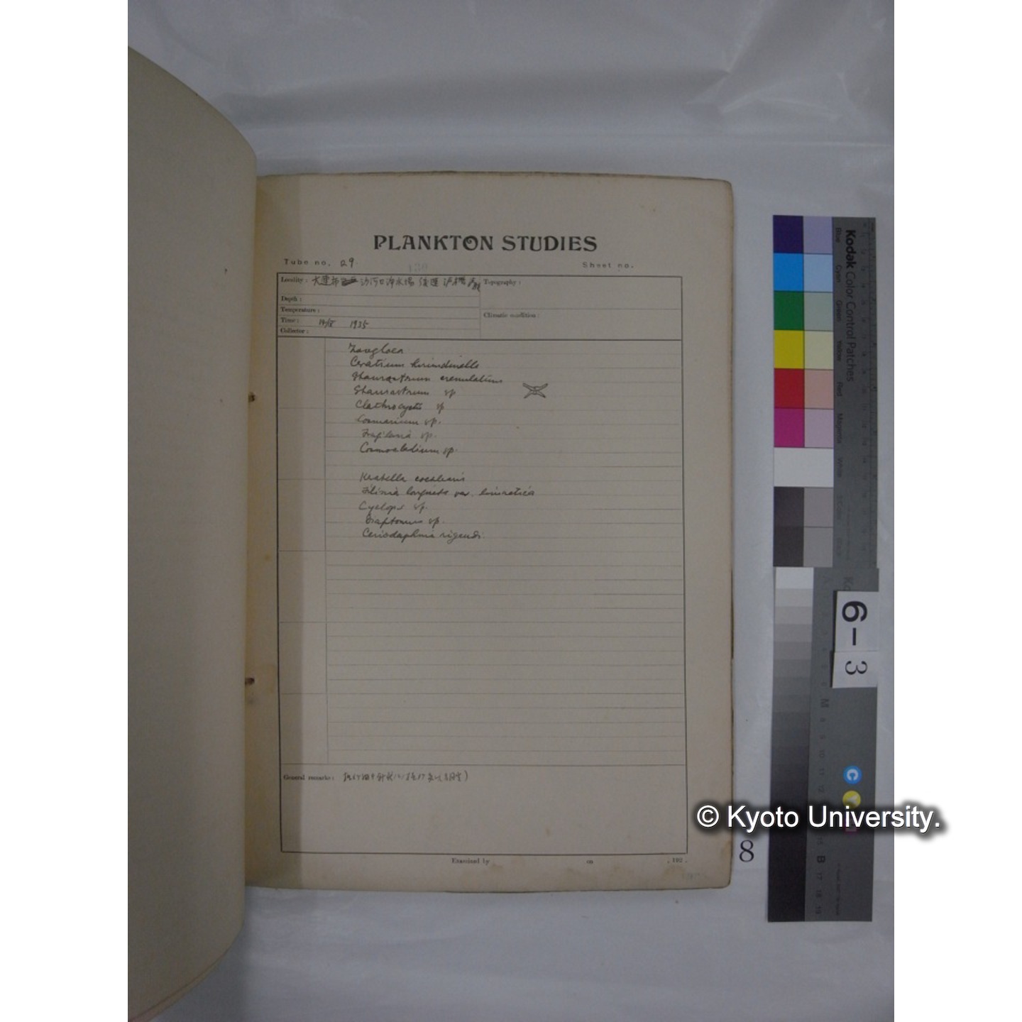 プランクトン標本調査カード (昭和10年,満州調査時採集標本他) (8)