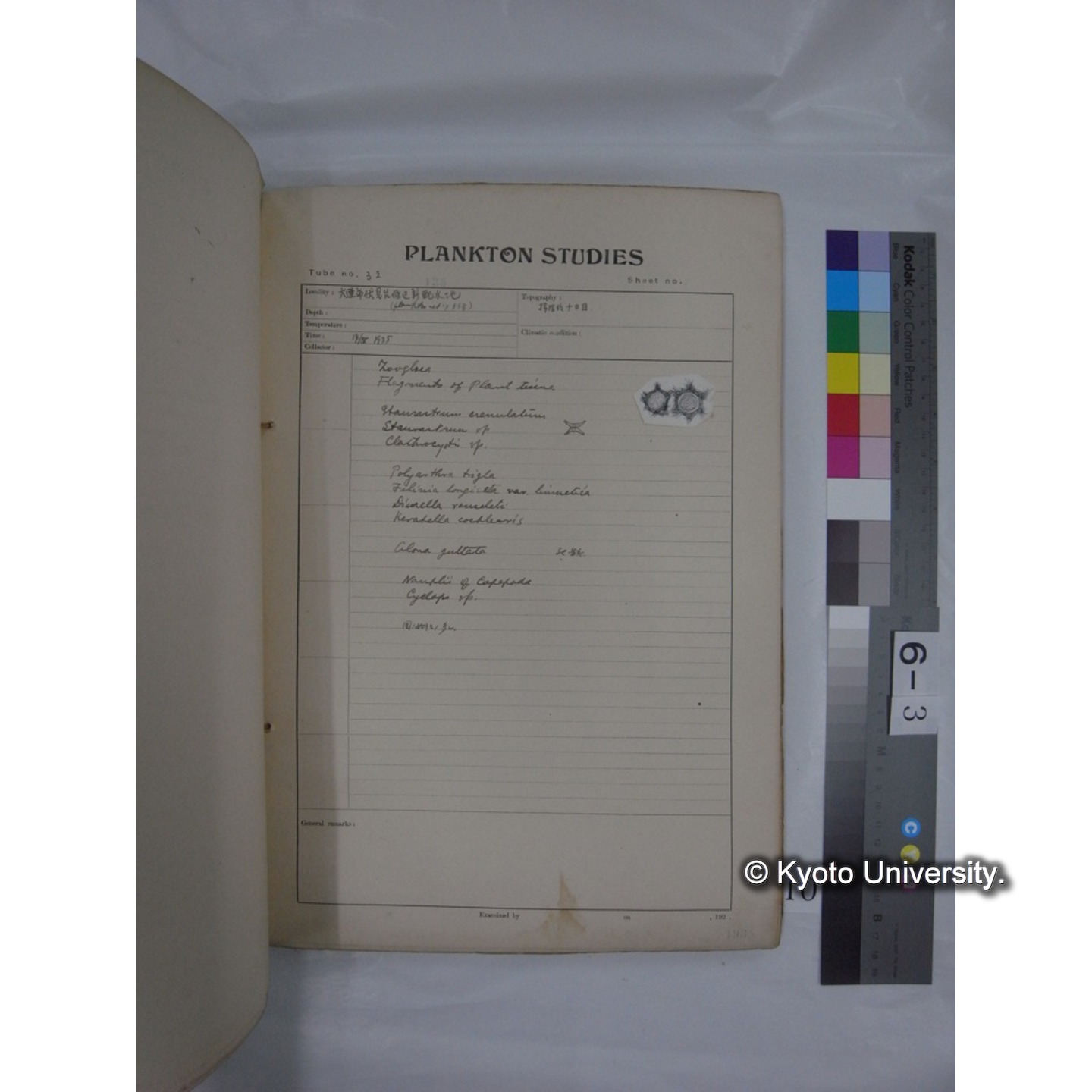 プランクトン標本調査カード (昭和10年,満州調査時採集標本他) (10)