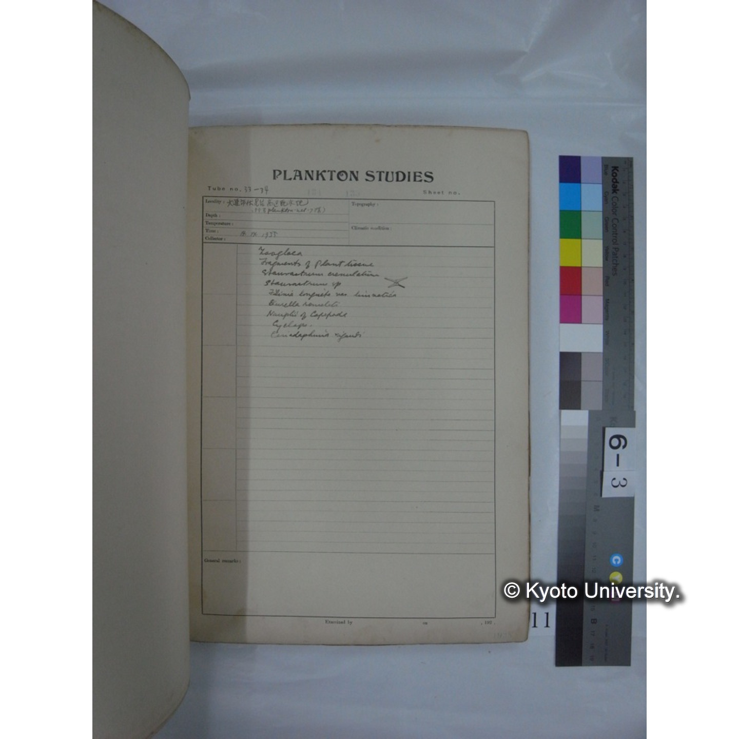プランクトン標本調査カード (昭和10年,満州調査時採集標本他) (11)
