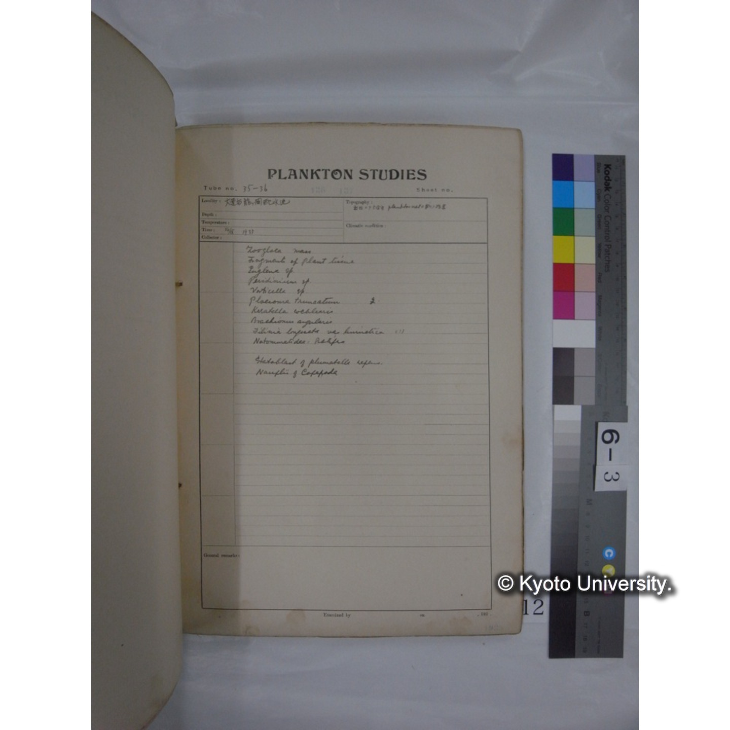 プランクトン標本調査カード (昭和10年,満州調査時採集標本他) (12)