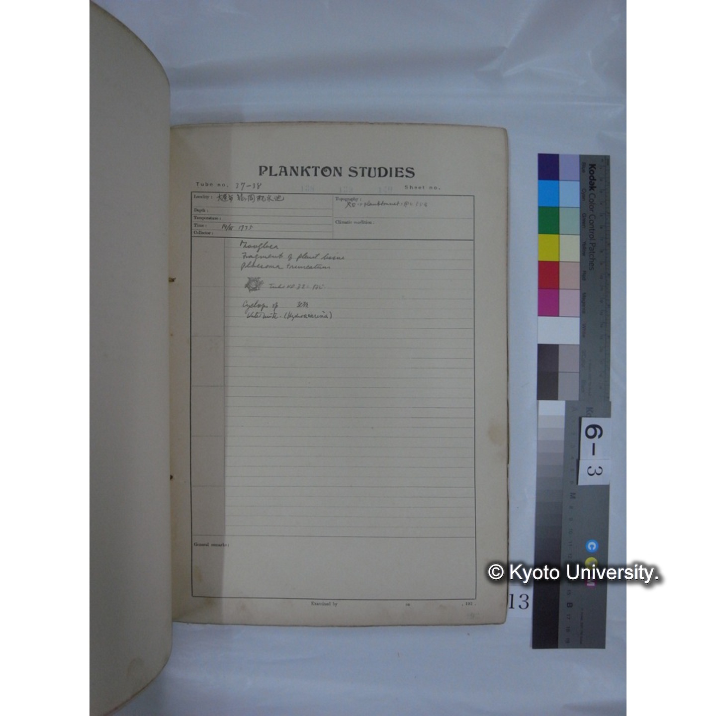 プランクトン標本調査カード (昭和10年,満州調査時採集標本他) (13)