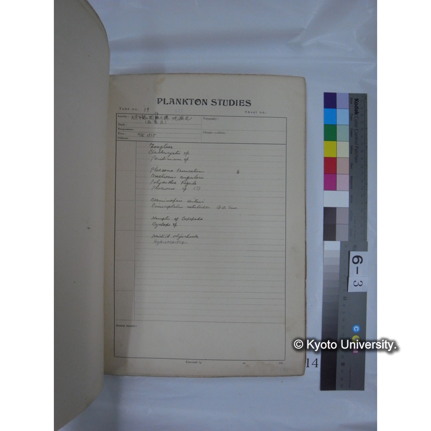 プランクトン標本調査カード (昭和10年,満州調査時採集標本他) (14)