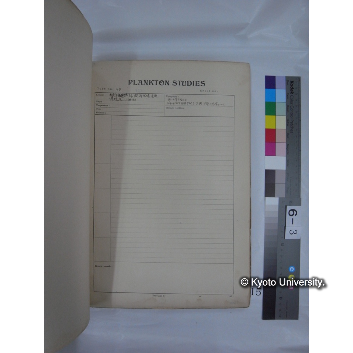 プランクトン標本調査カード (昭和10年,満州調査時採集標本他) (15)