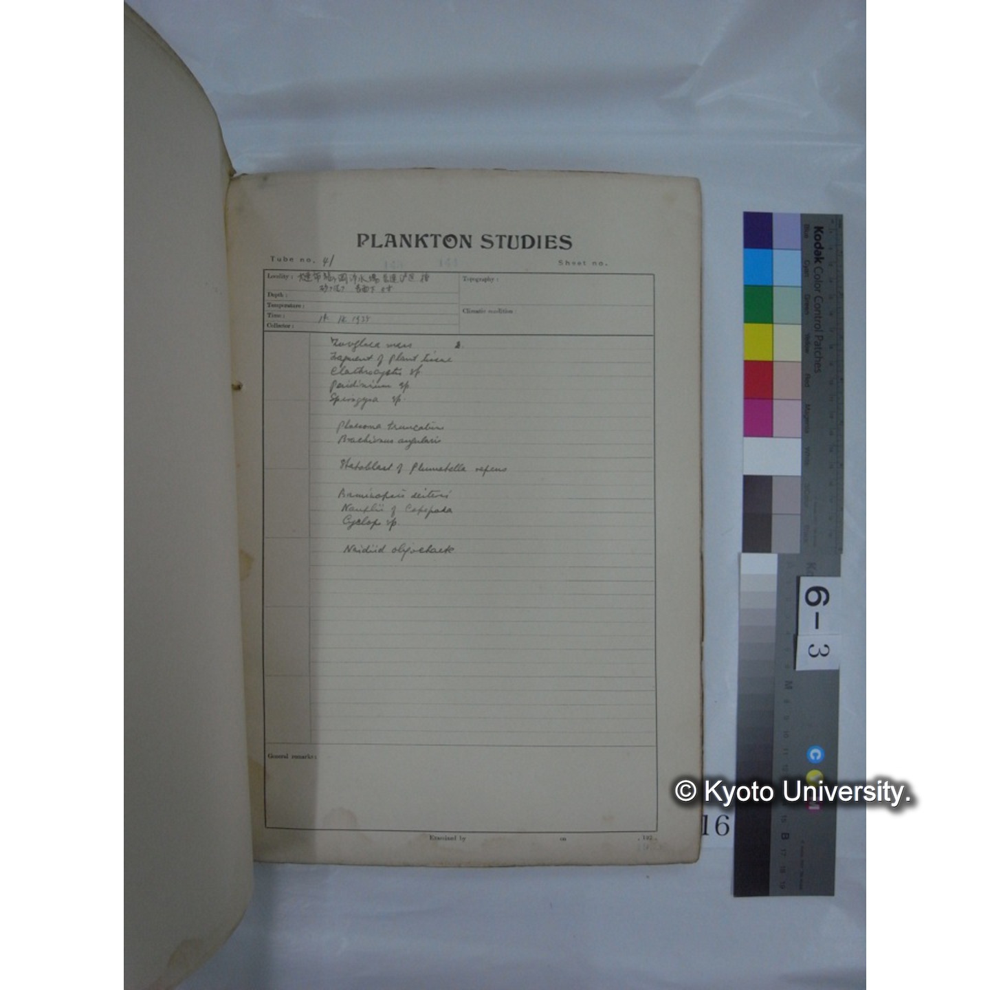 プランクトン標本調査カード (昭和10年,満州調査時採集標本他) (16)