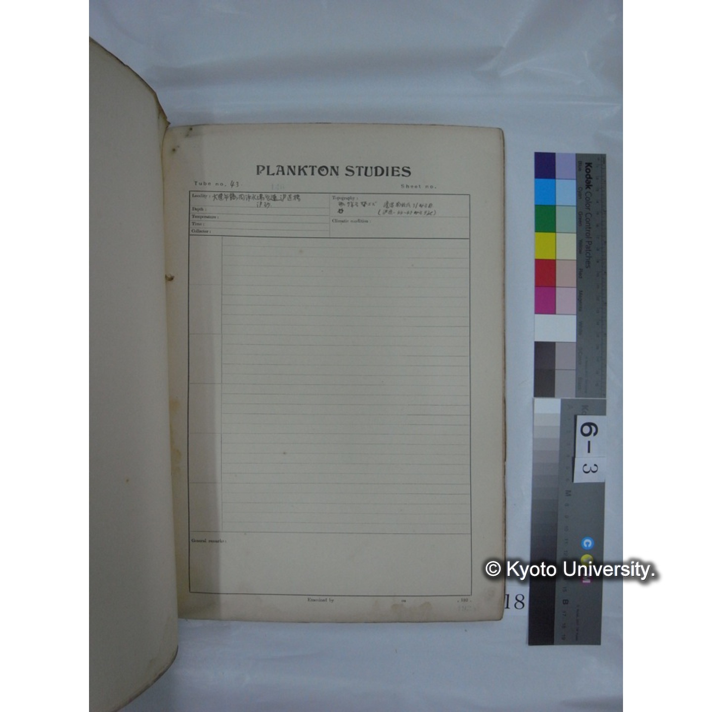 プランクトン標本調査カード (昭和10年,満州調査時採集標本他) (18)