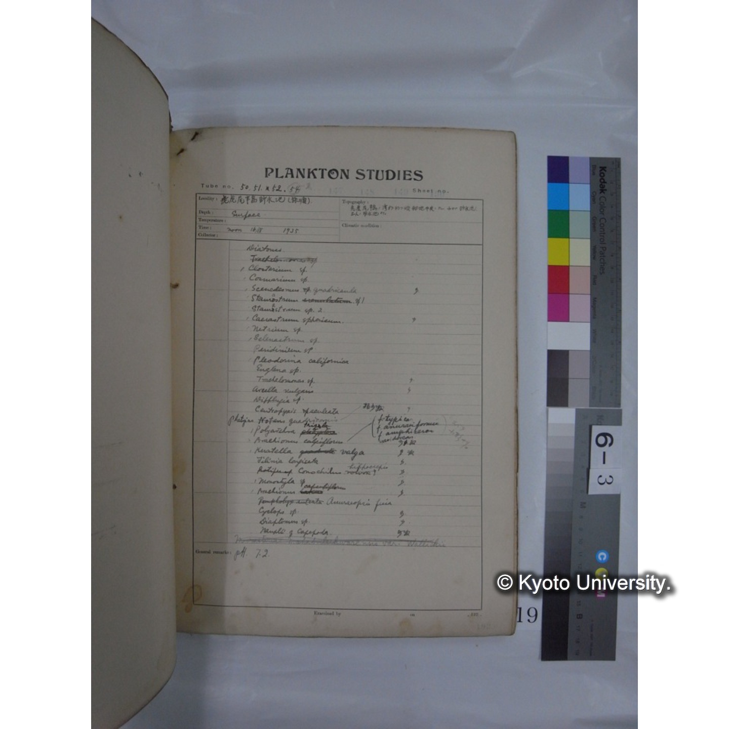プランクトン標本調査カード (昭和10年,満州調査時採集標本他) (19)