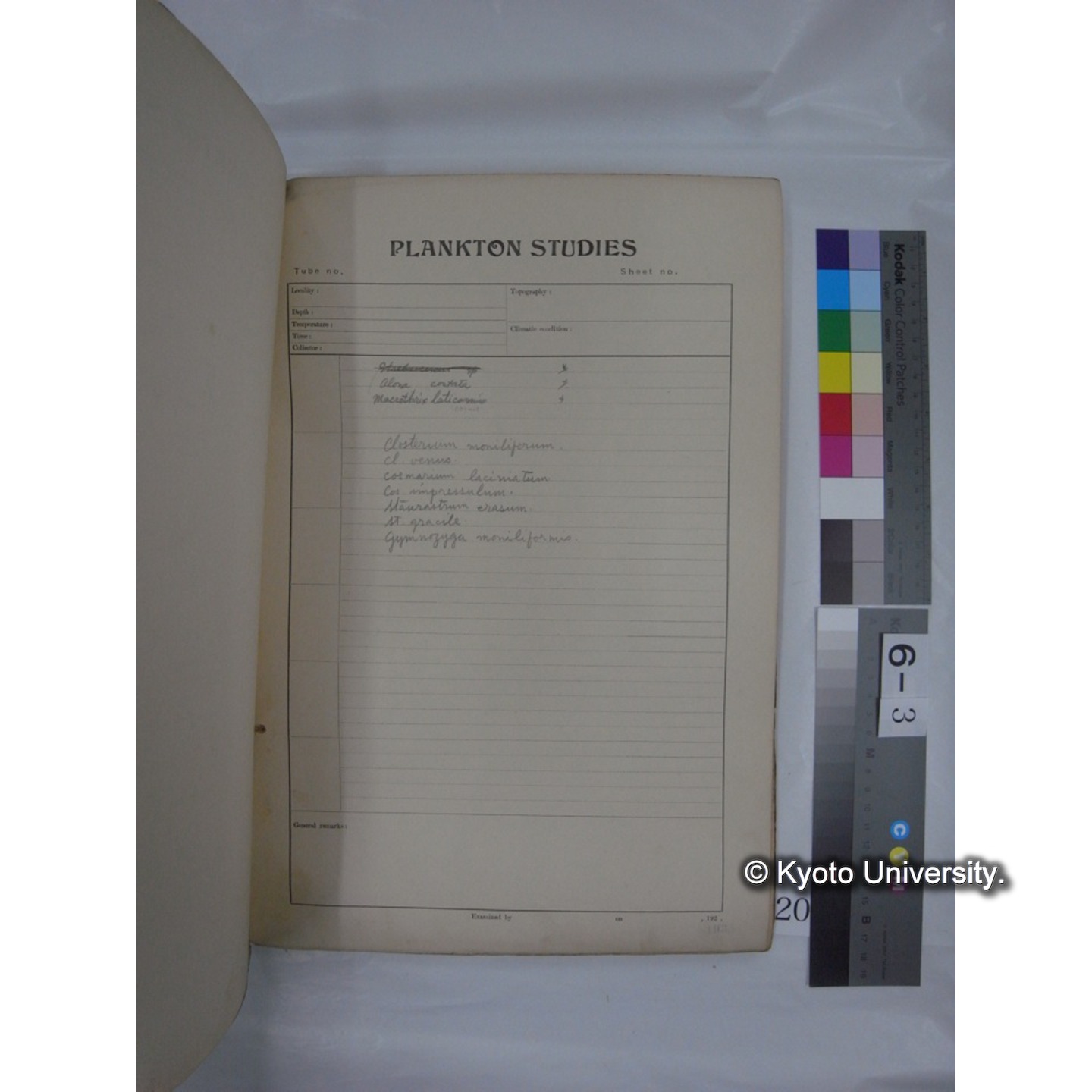 プランクトン標本調査カード (昭和10年,満州調査時採集標本他) (20)