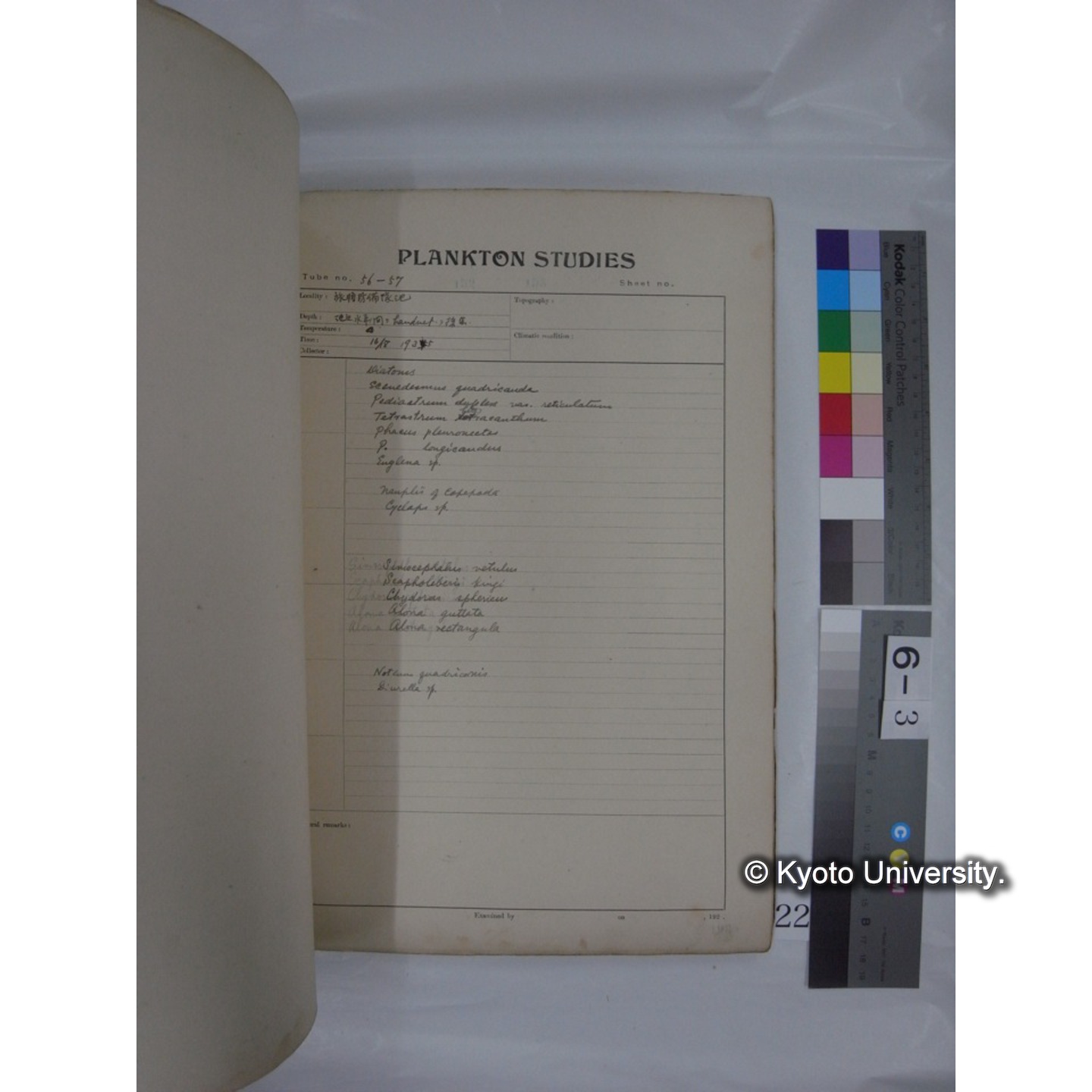 プランクトン標本調査カード (昭和10年,満州調査時採集標本他) (22)