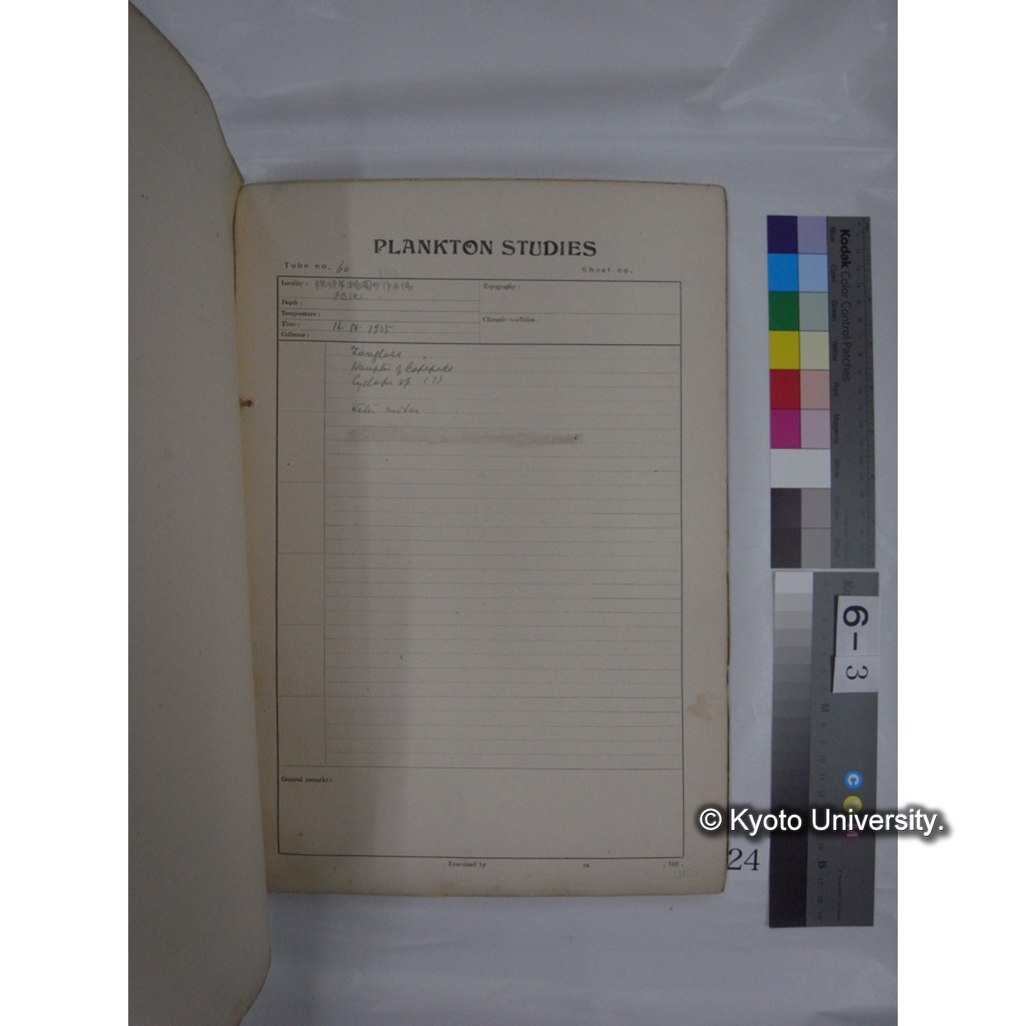 プランクトン標本調査カード (昭和10年,満州調査時採集標本他) (24)