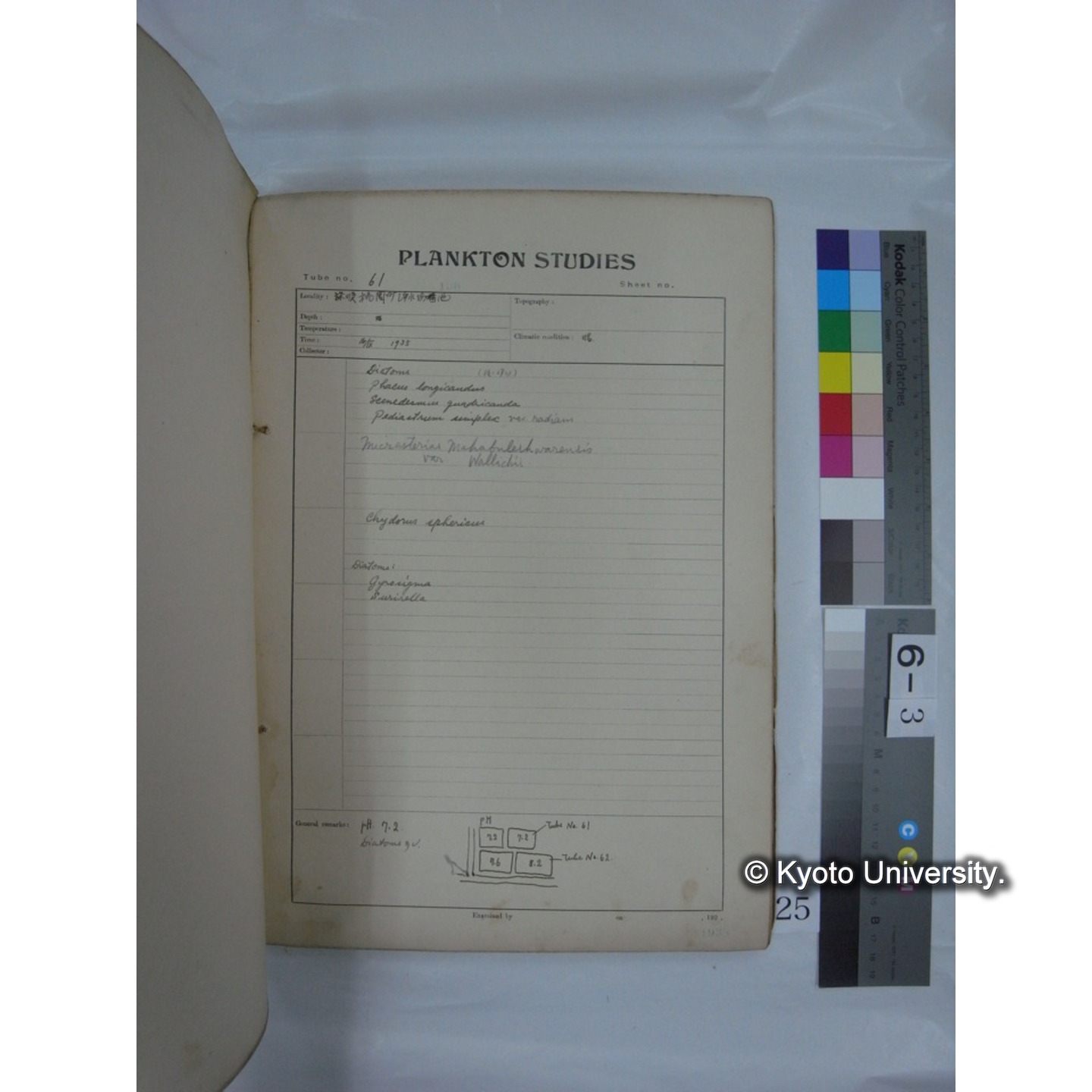 プランクトン標本調査カード (昭和10年,満州調査時採集標本他) (25)