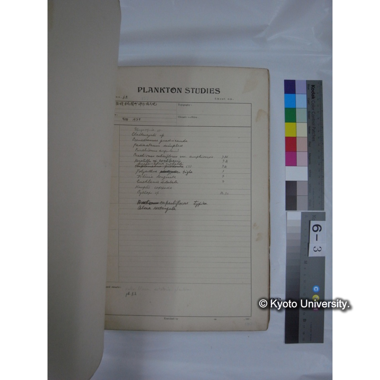 プランクトン標本調査カード (昭和10年,満州調査時採集標本他) (26)