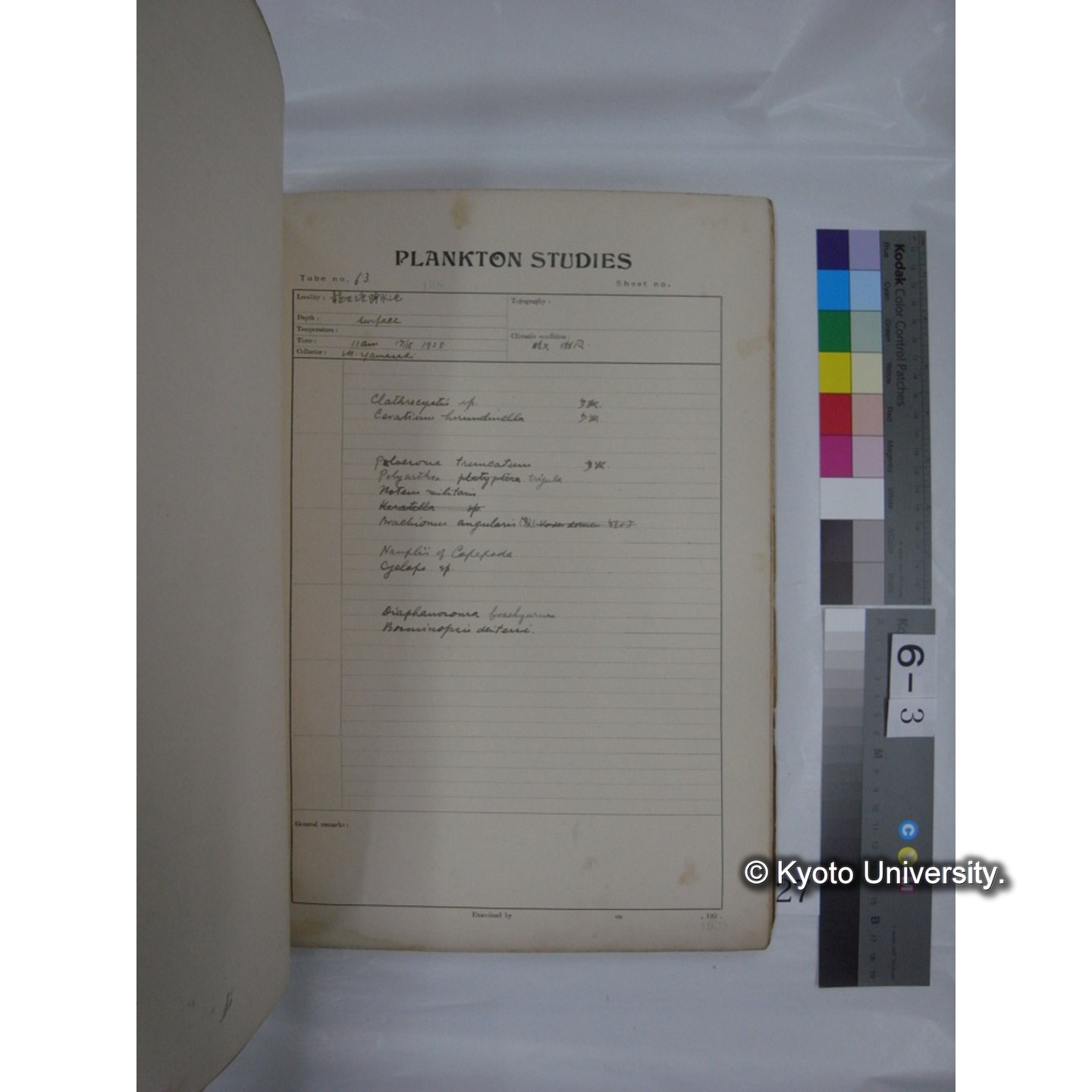 プランクトン標本調査カード (昭和10年,満州調査時採集標本他) (27)