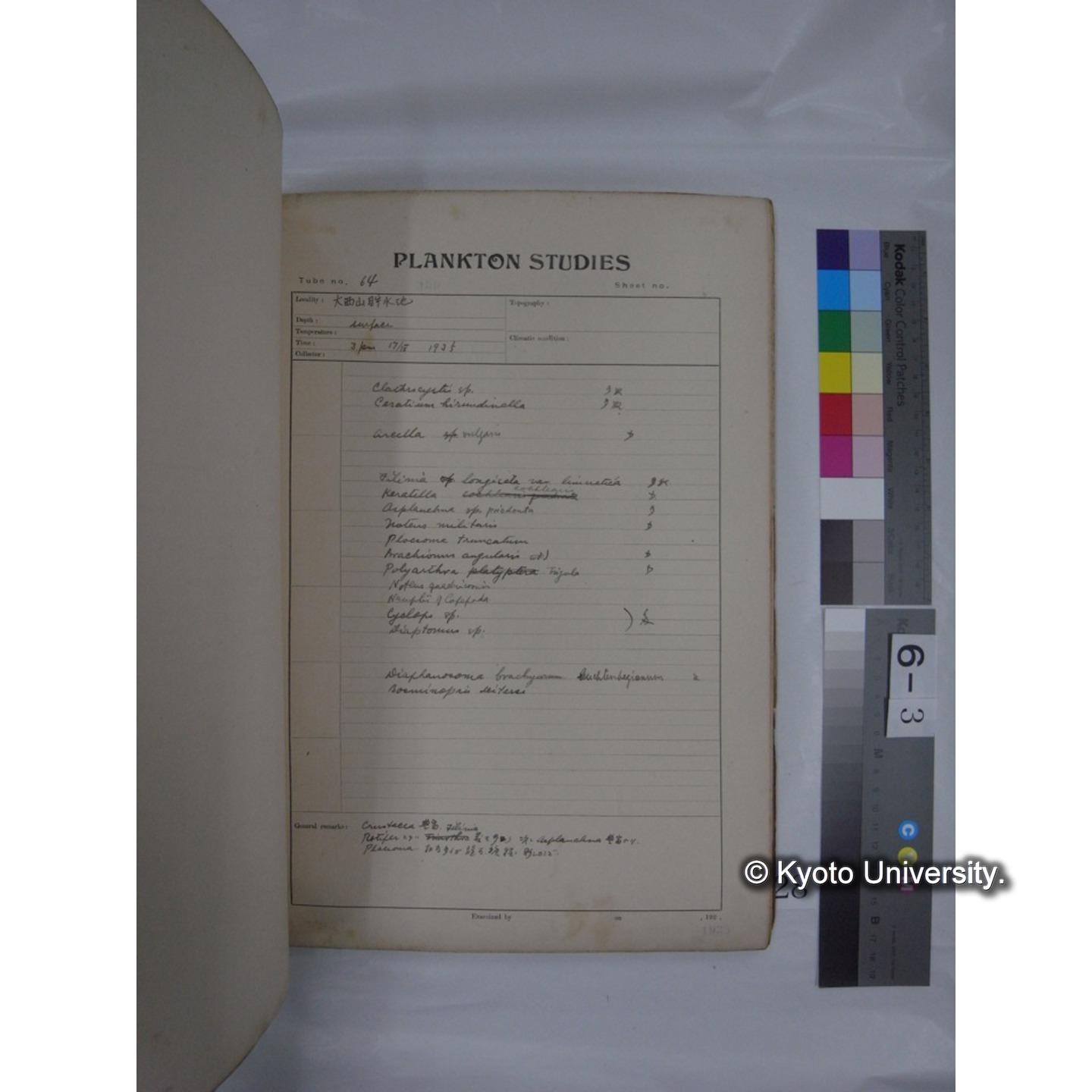 プランクトン標本調査カード (昭和10年,満州調査時採集標本他) (28)