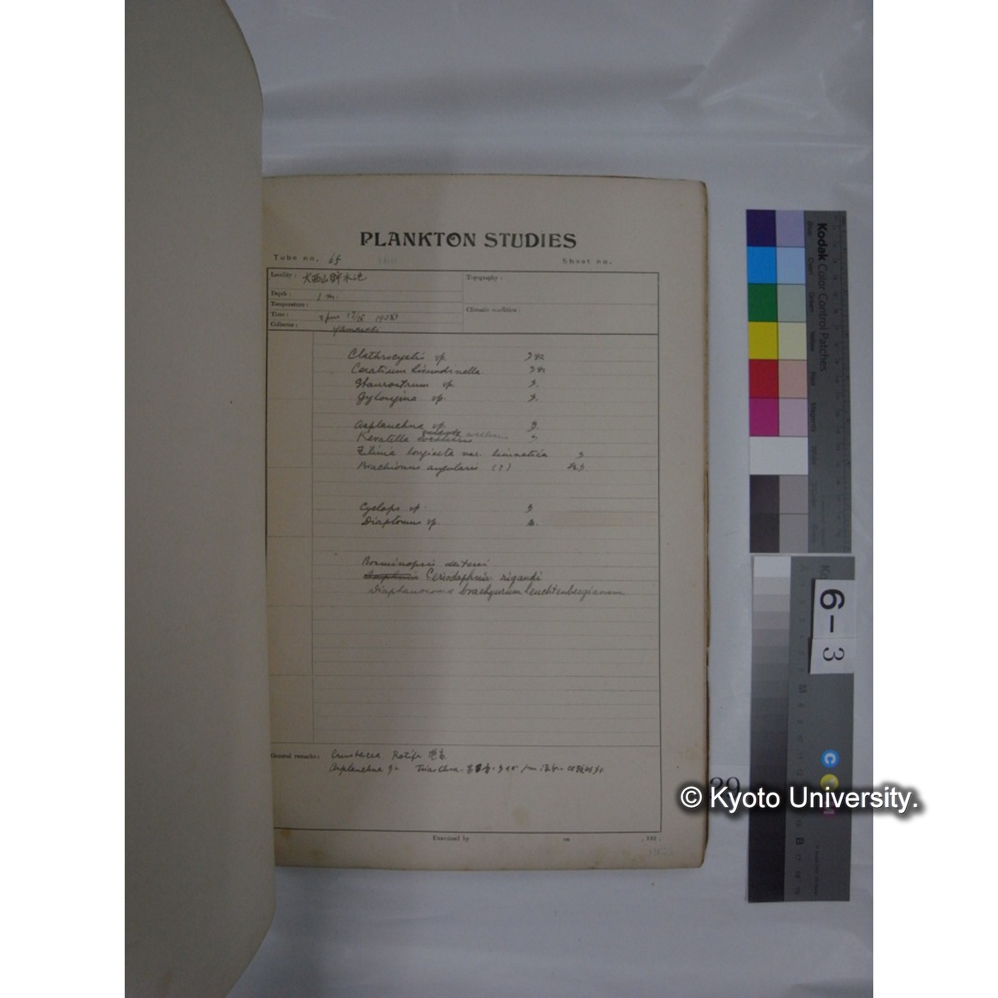 プランクトン標本調査カード (昭和10年,満州調査時採集標本他) (29)