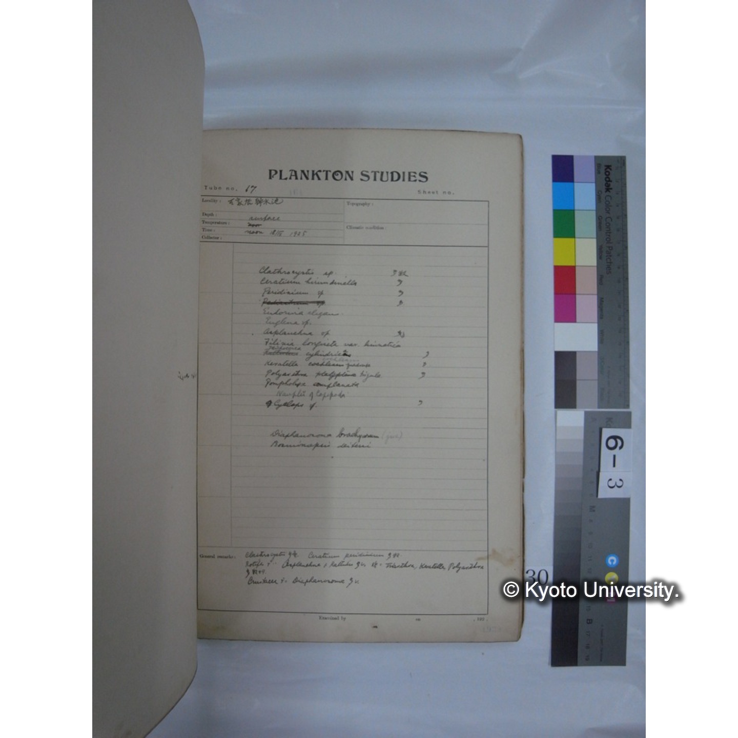 プランクトン標本調査カード (昭和10年,満州調査時採集標本他) (30)