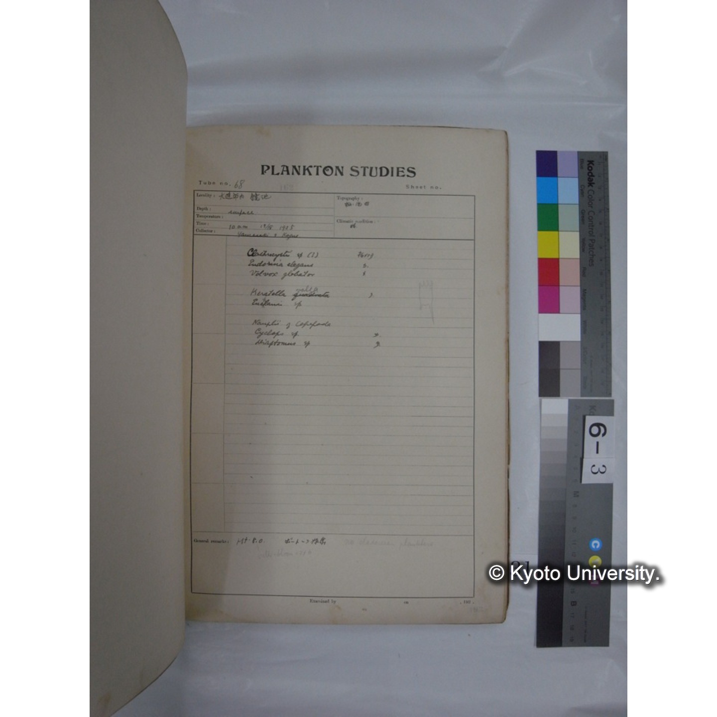 プランクトン標本調査カード (昭和10年,満州調査時採集標本他) (31)