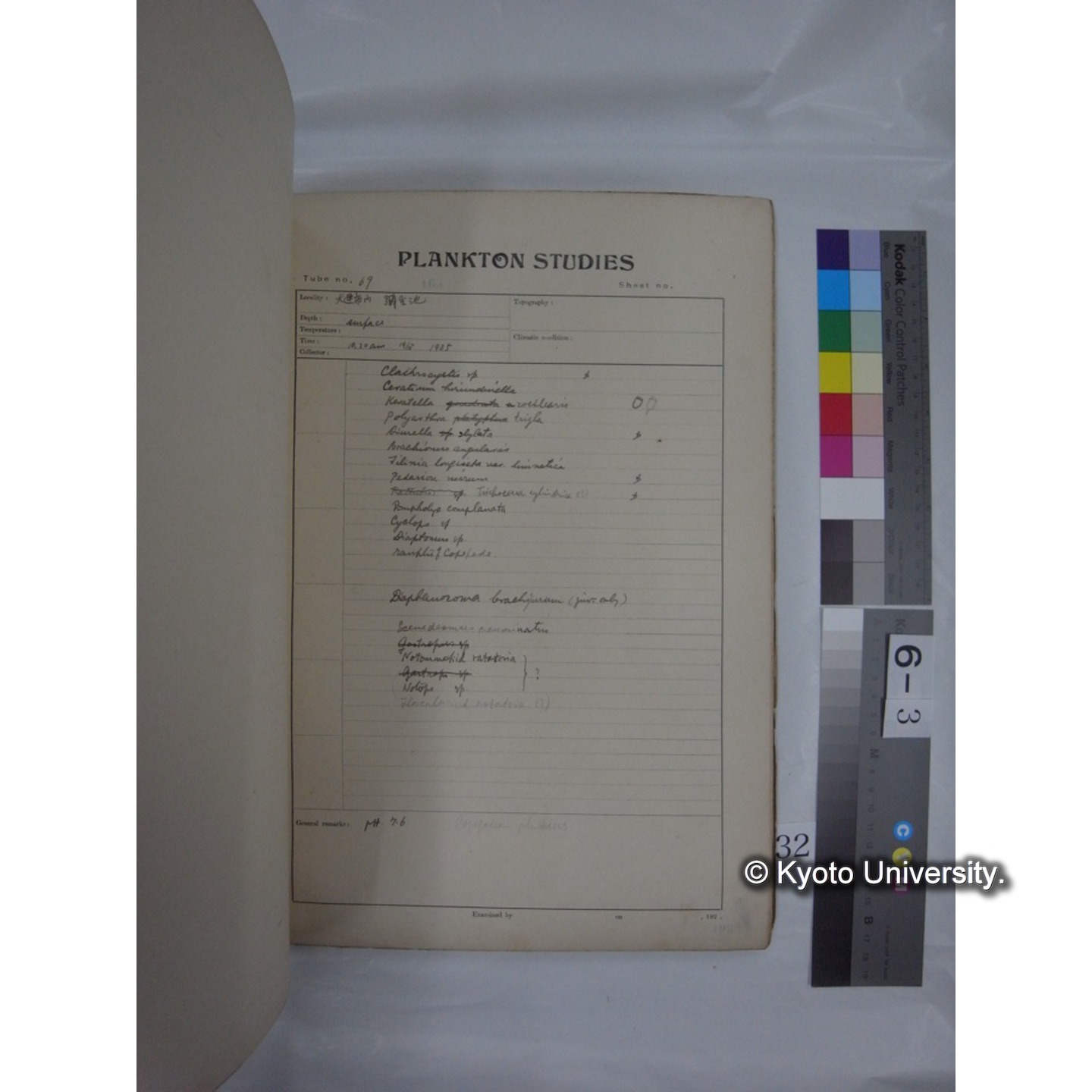 プランクトン標本調査カード (昭和10年,満州調査時採集標本他) (32)