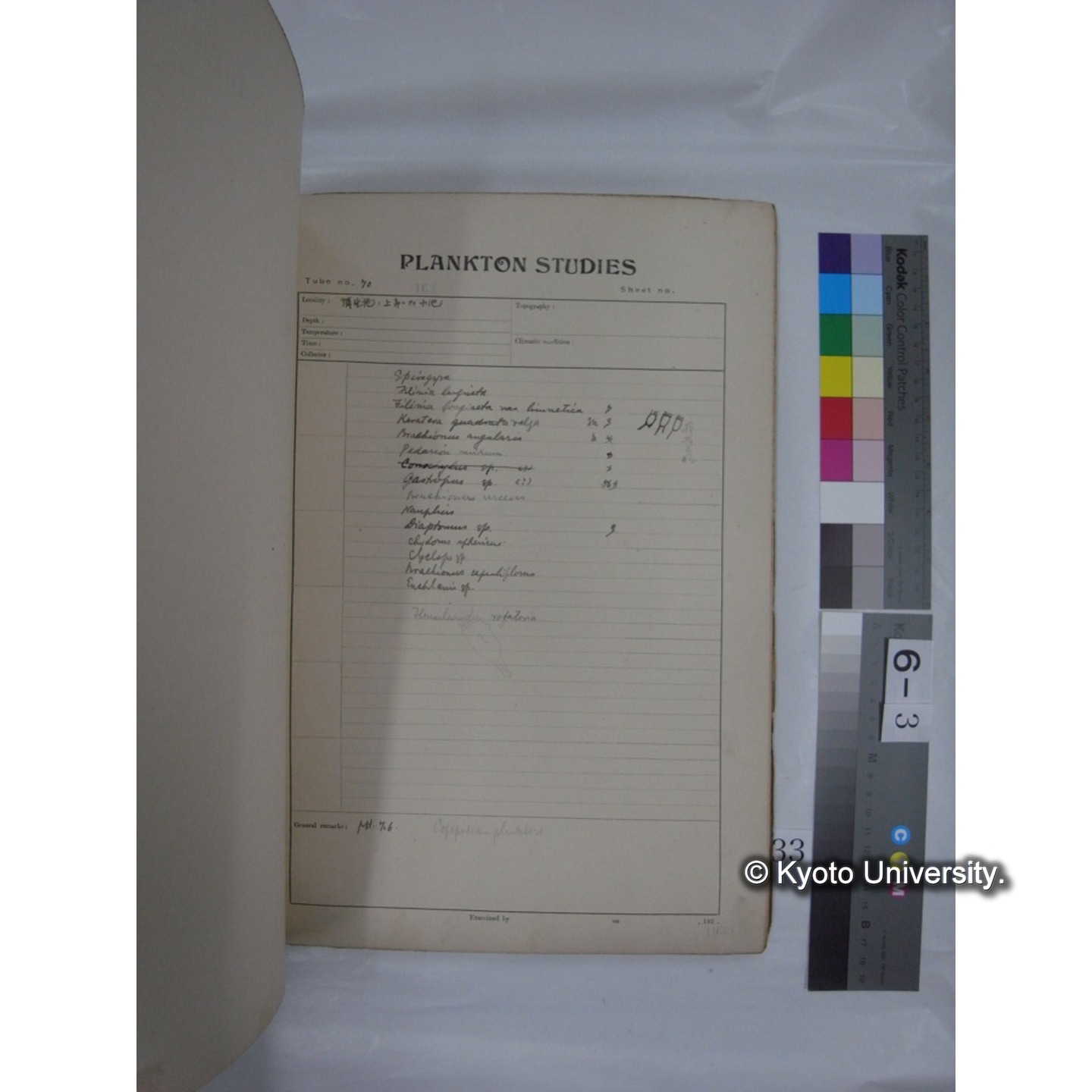 プランクトン標本調査カード (昭和10年,満州調査時採集標本他) (33)