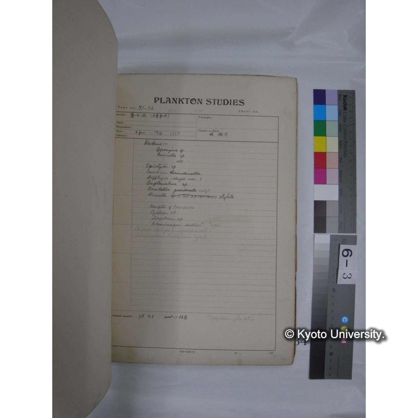 プランクトン標本調査カード (昭和10年,満州調査時採集標本他) (34)