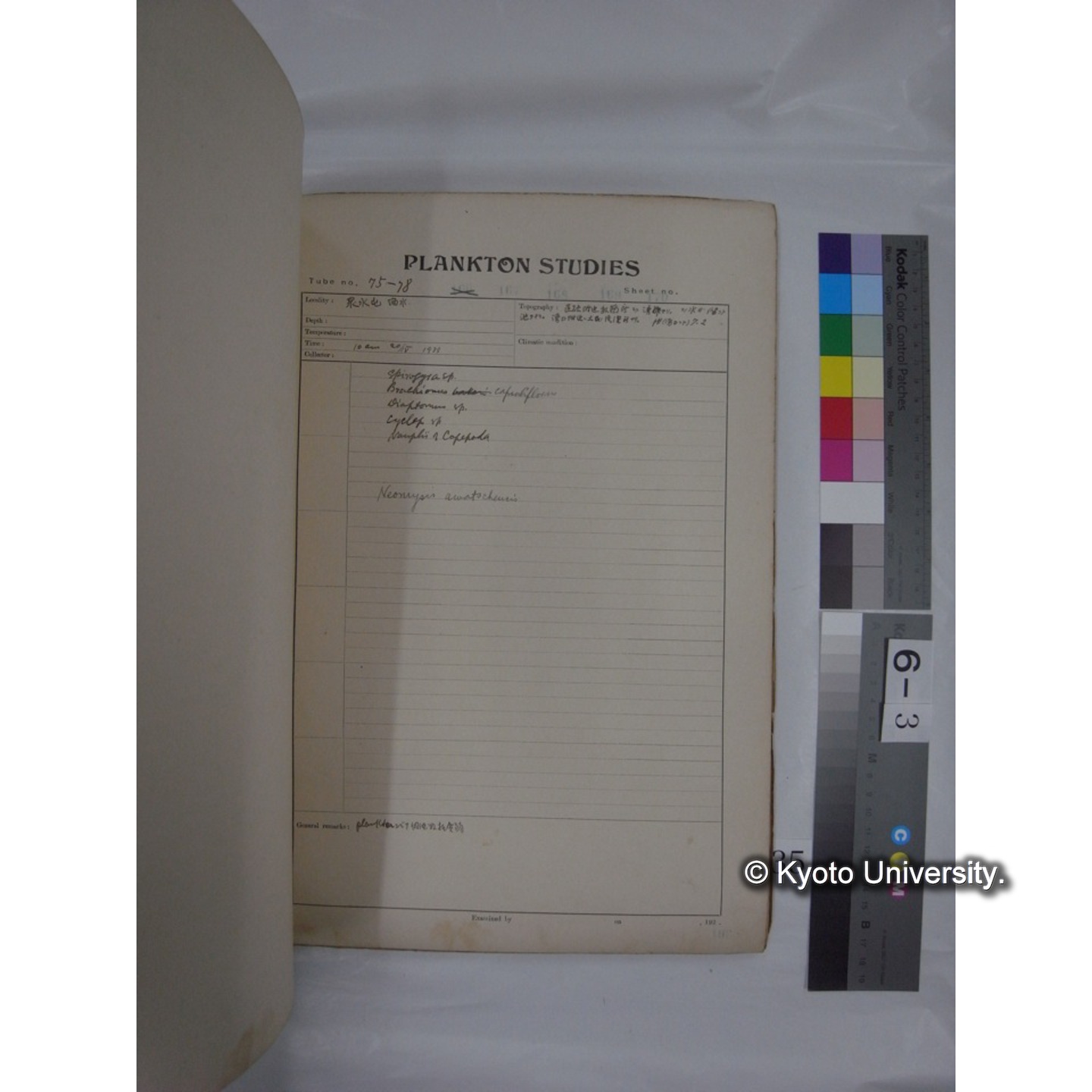 プランクトン標本調査カード (昭和10年,満州調査時採集標本他) (35)