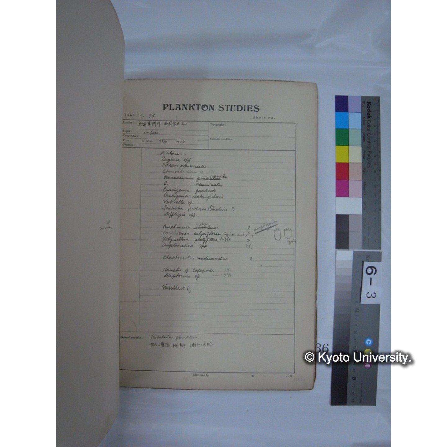 プランクトン標本調査カード (昭和10年,満州調査時採集標本他) (36)