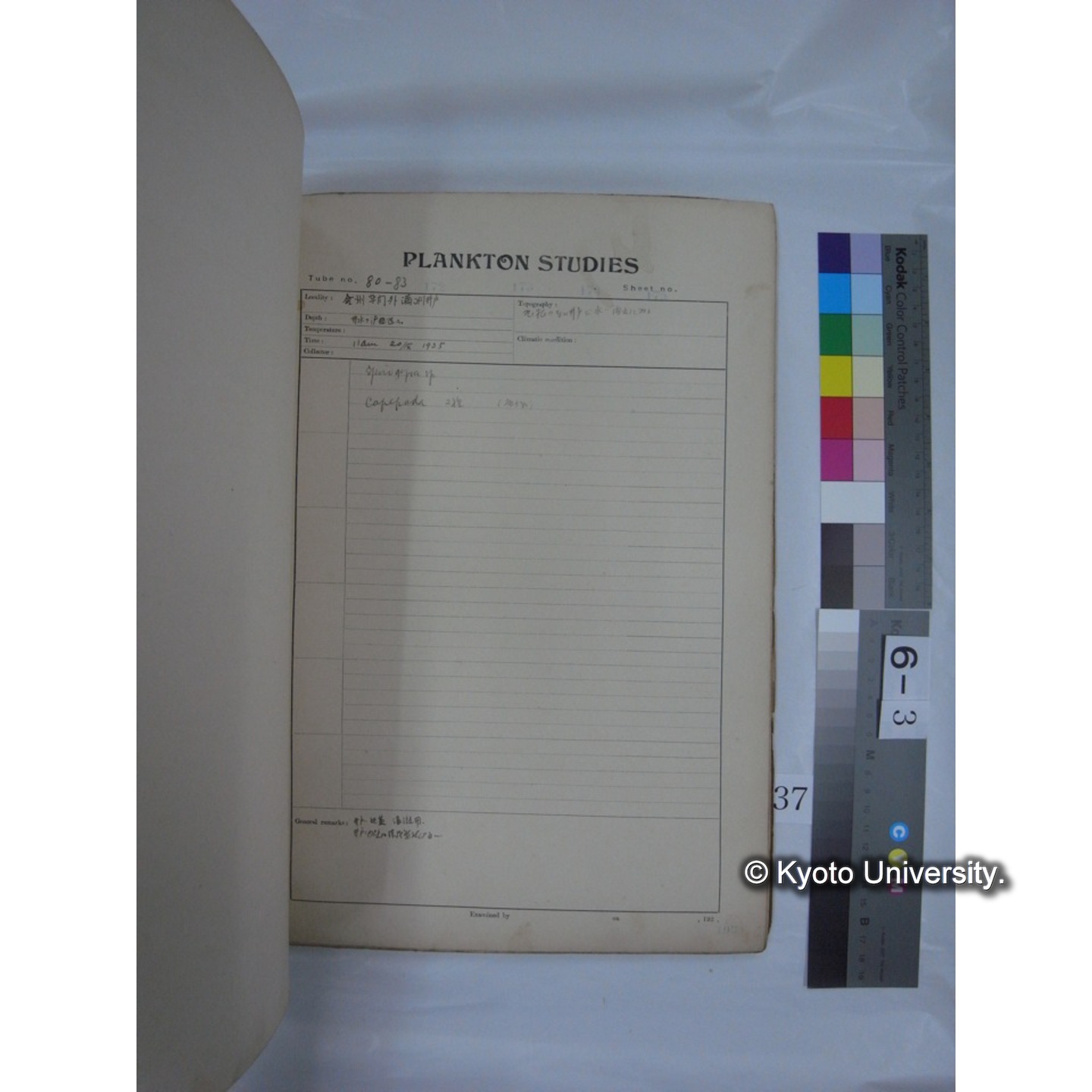 プランクトン標本調査カード (昭和10年,満州調査時採集標本他) (37)