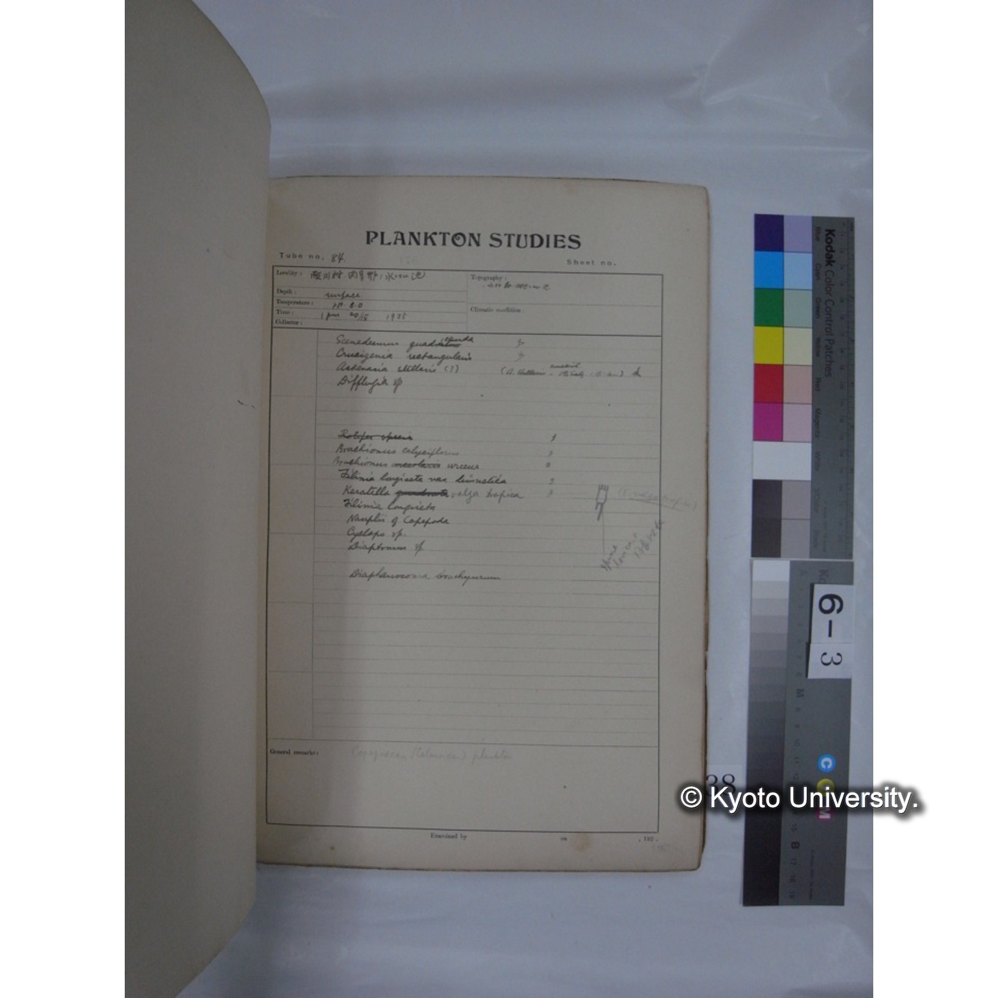 プランクトン標本調査カード (昭和10年,満州調査時採集標本他) (38)