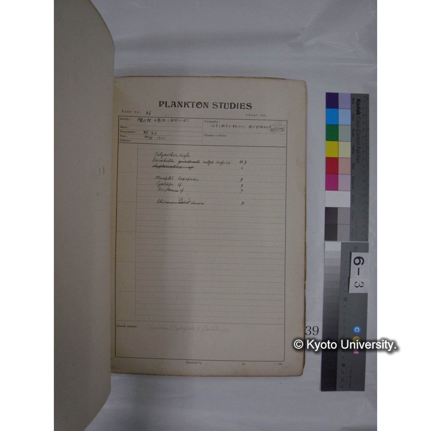 プランクトン標本調査カード (昭和10年,満州調査時採集標本他) (39)