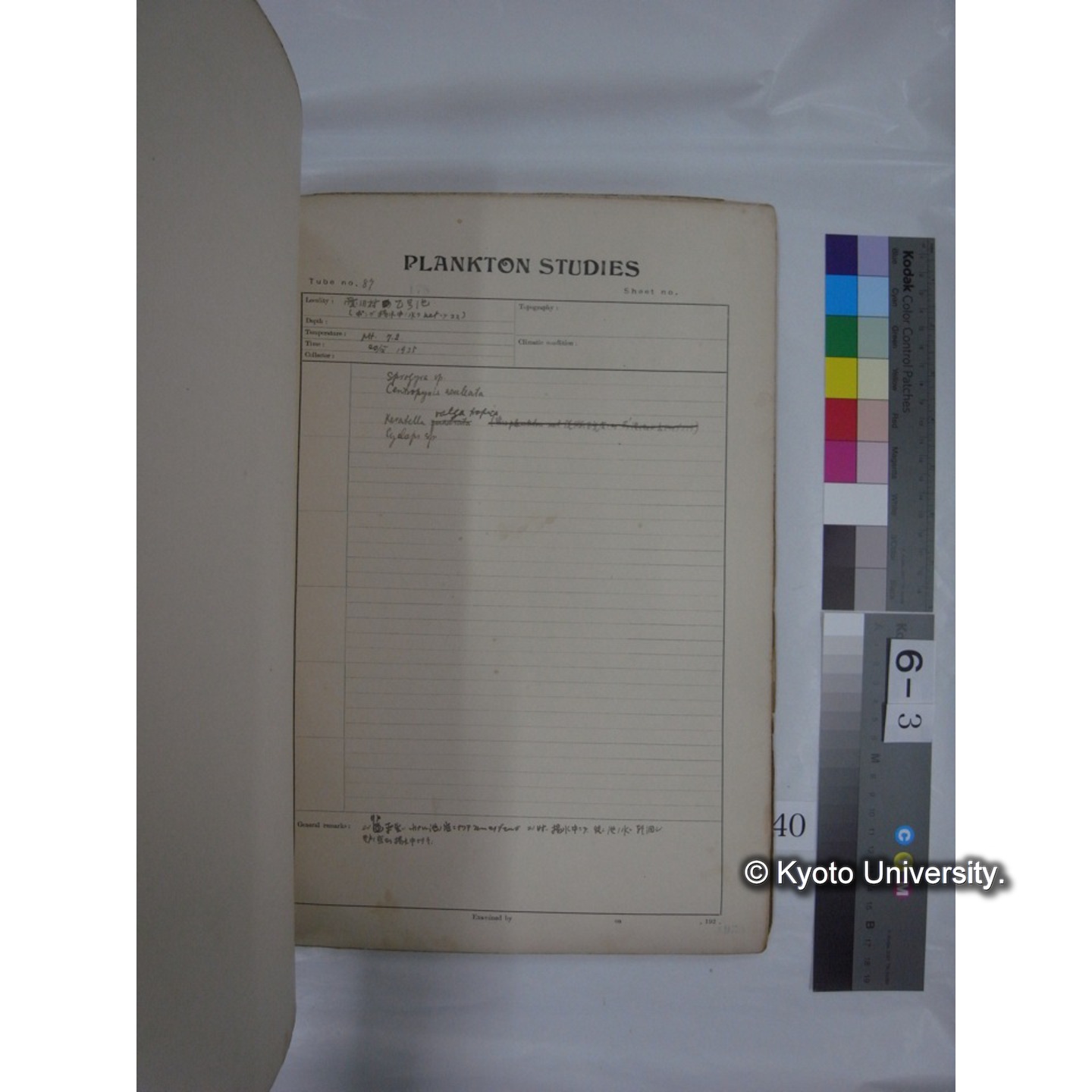 プランクトン標本調査カード (昭和10年,満州調査時採集標本他) (40)