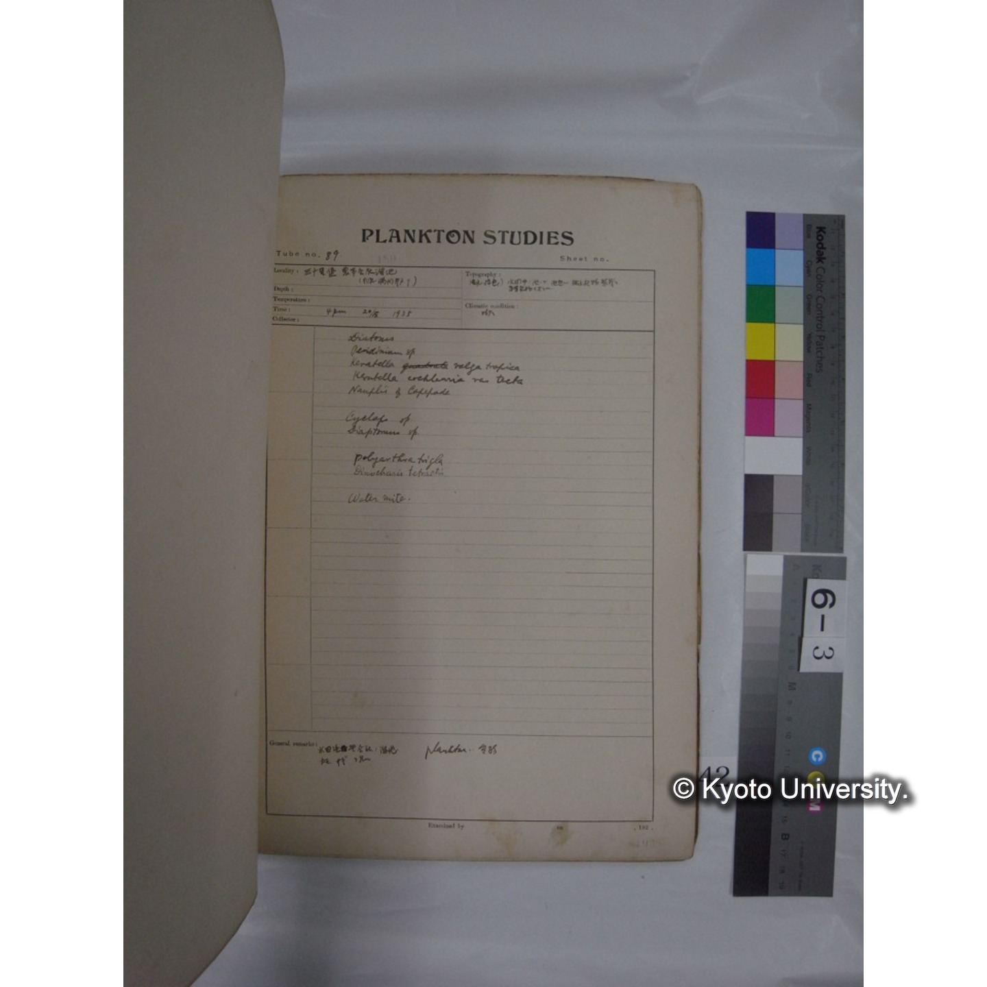 プランクトン標本調査カード (昭和10年,満州調査時採集標本他) (42)