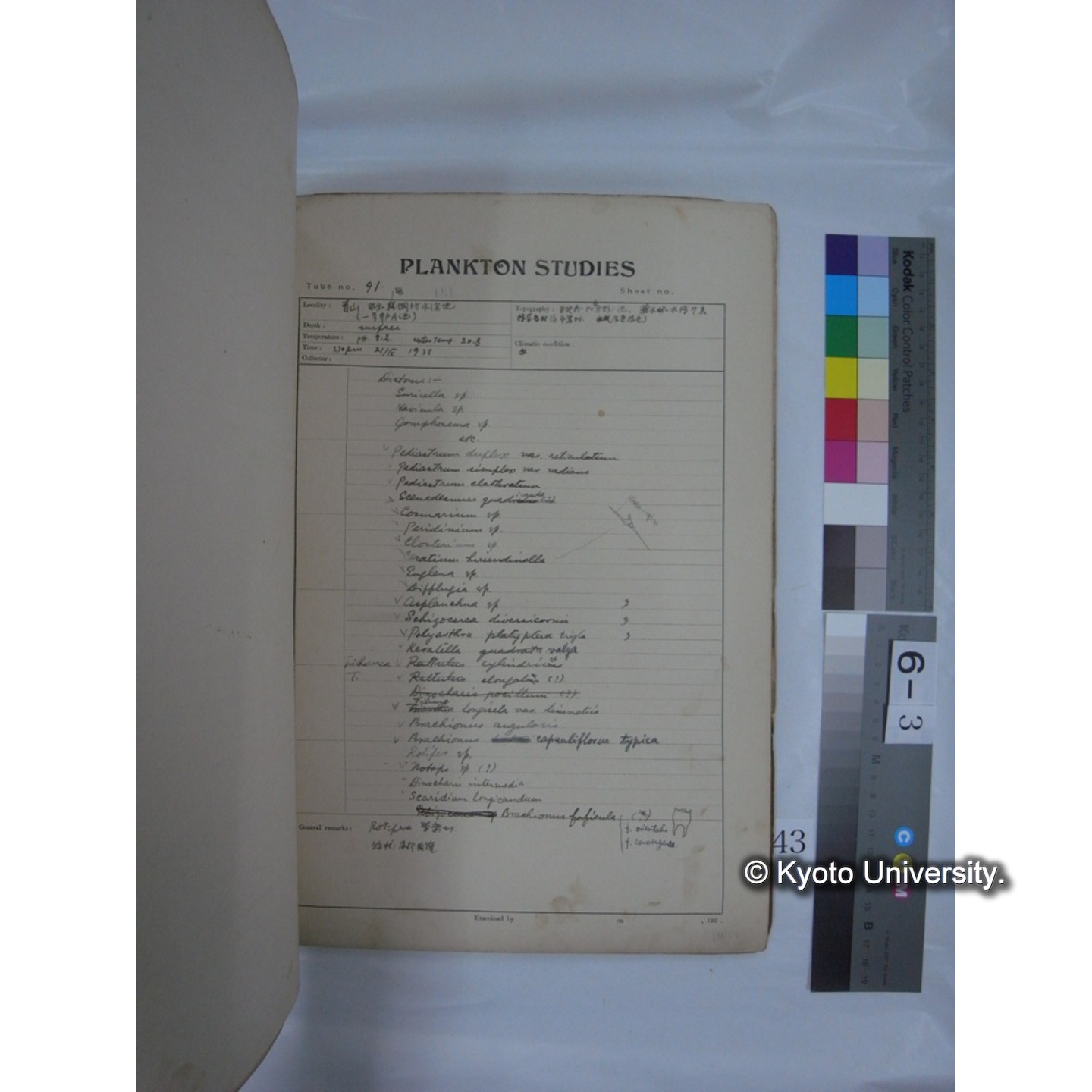 プランクトン標本調査カード (昭和10年,満州調査時採集標本他) (43)