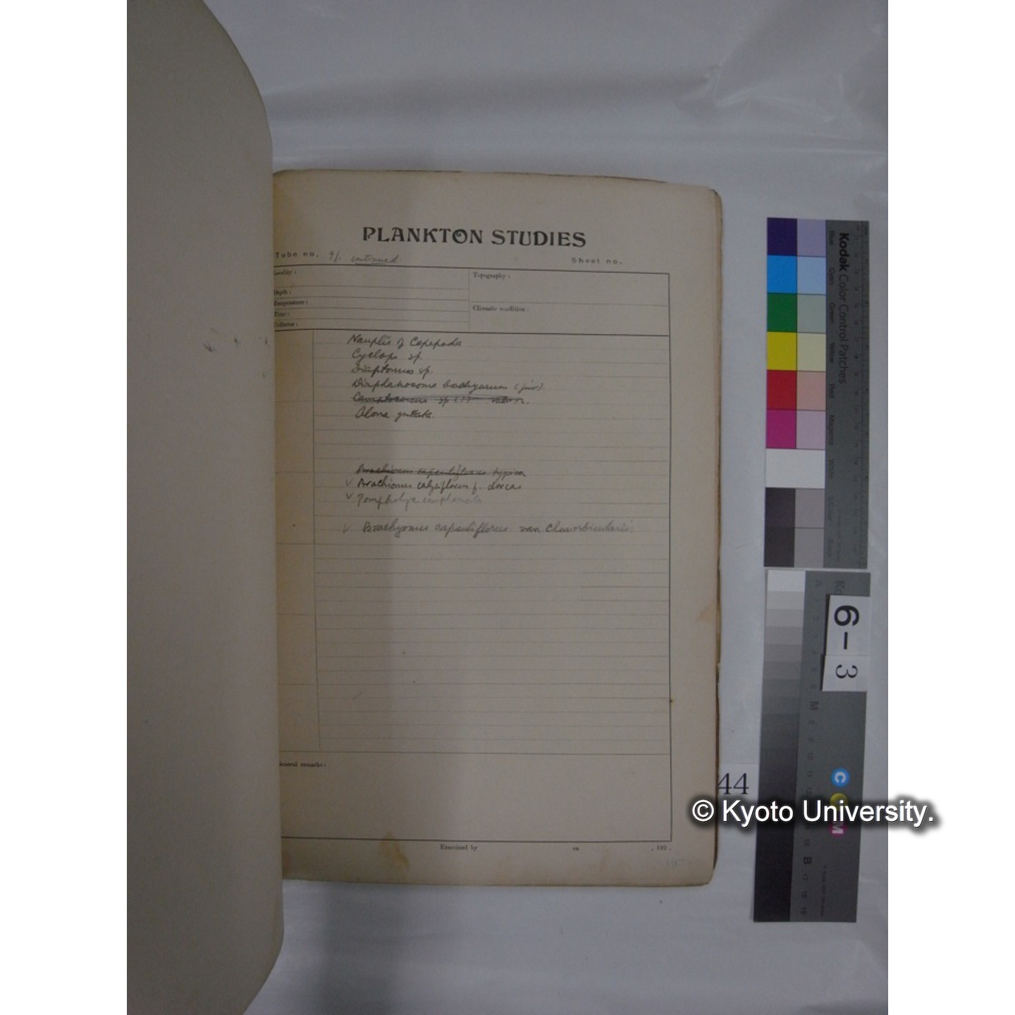 プランクトン標本調査カード (昭和10年,満州調査時採集標本他) (44)
