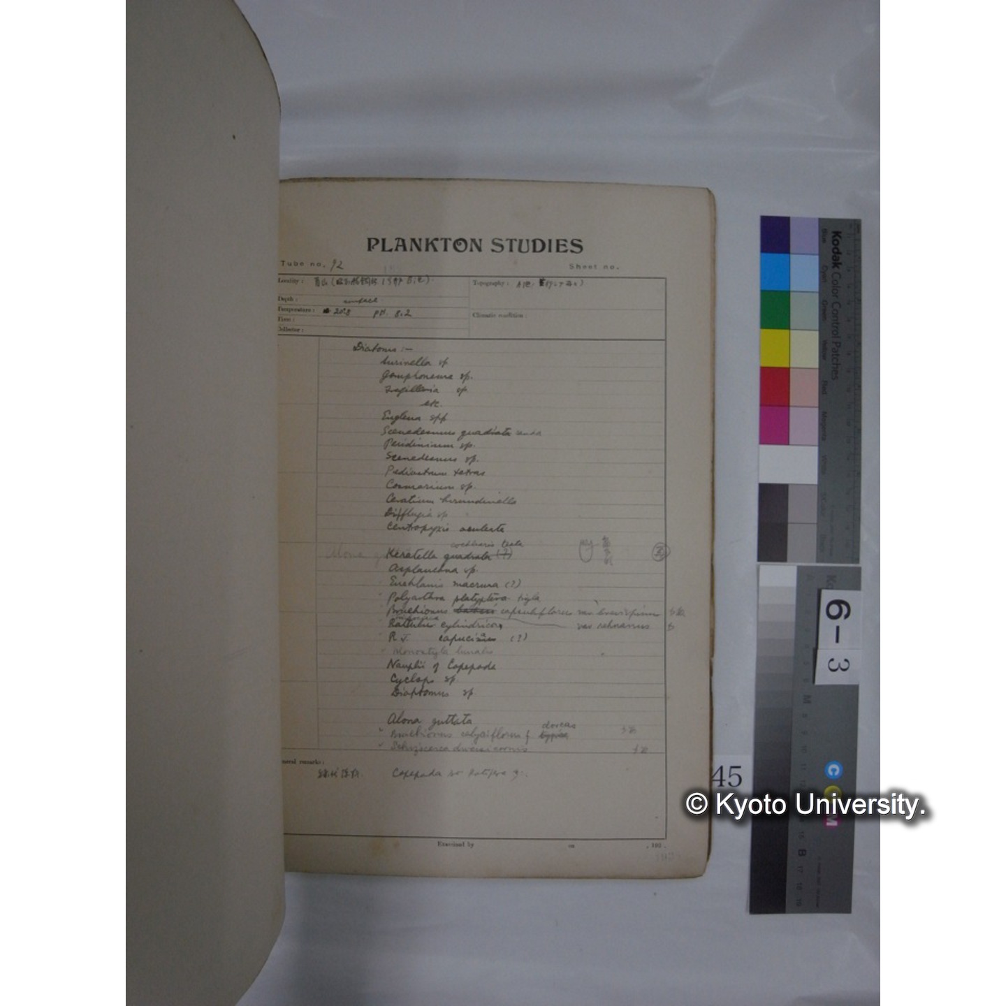 プランクトン標本調査カード (昭和10年,満州調査時採集標本他) (45)