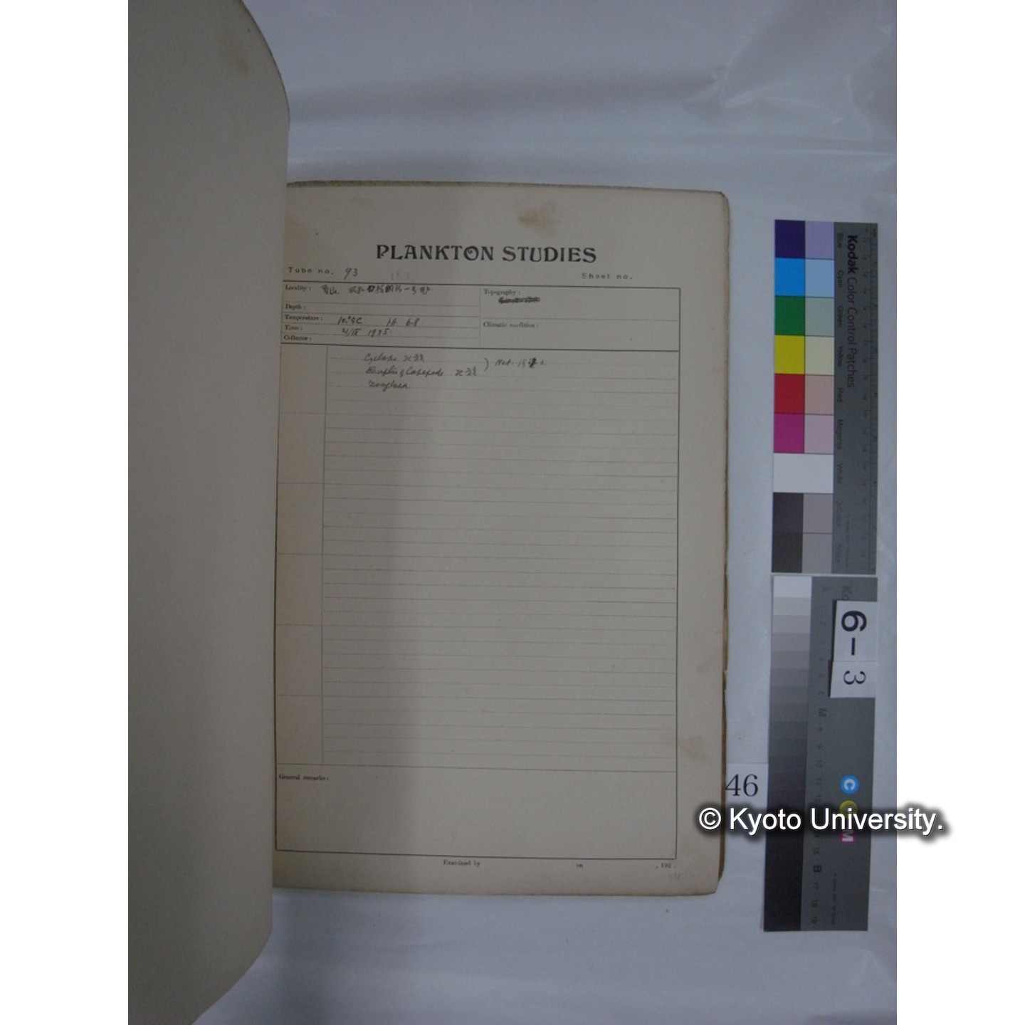 プランクトン標本調査カード (昭和10年,満州調査時採集標本他) (46)