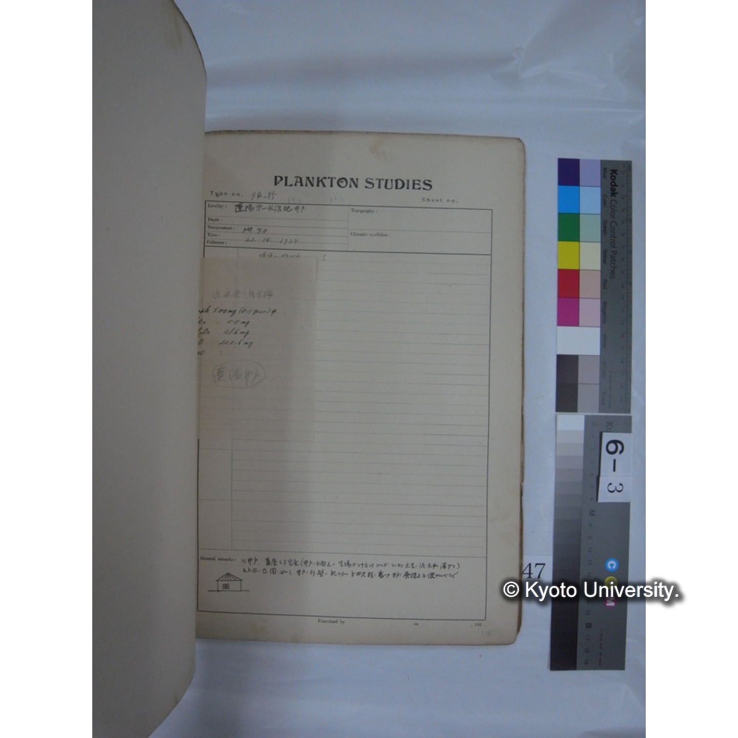 プランクトン標本調査カード (昭和10年,満州調査時採集標本他) (47)