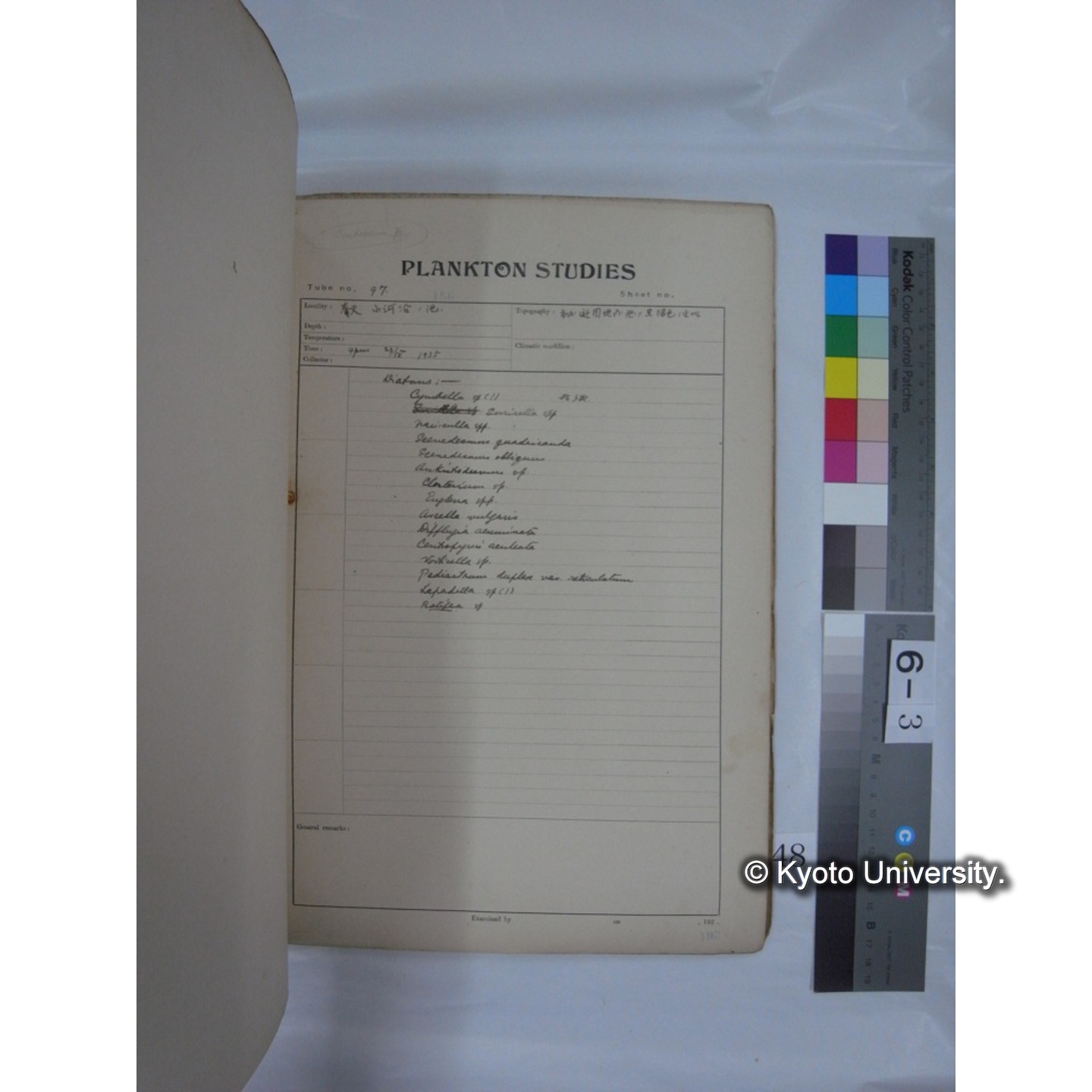 プランクトン標本調査カード (昭和10年,満州調査時採集標本他) (49)