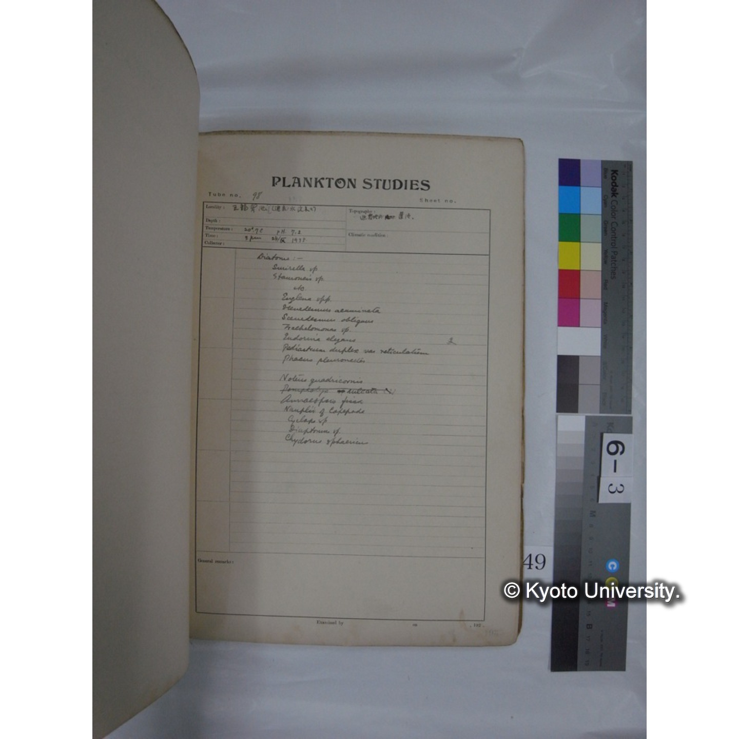 プランクトン標本調査カード (昭和10年,満州調査時採集標本他) (50)