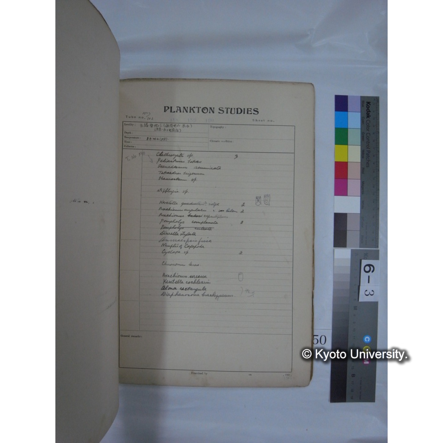 プランクトン標本調査カード (昭和10年,満州調査時採集標本他) (51)