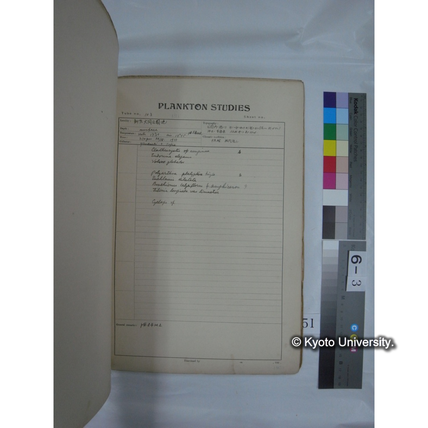 プランクトン標本調査カード (昭和10年,満州調査時採集標本他) (52)