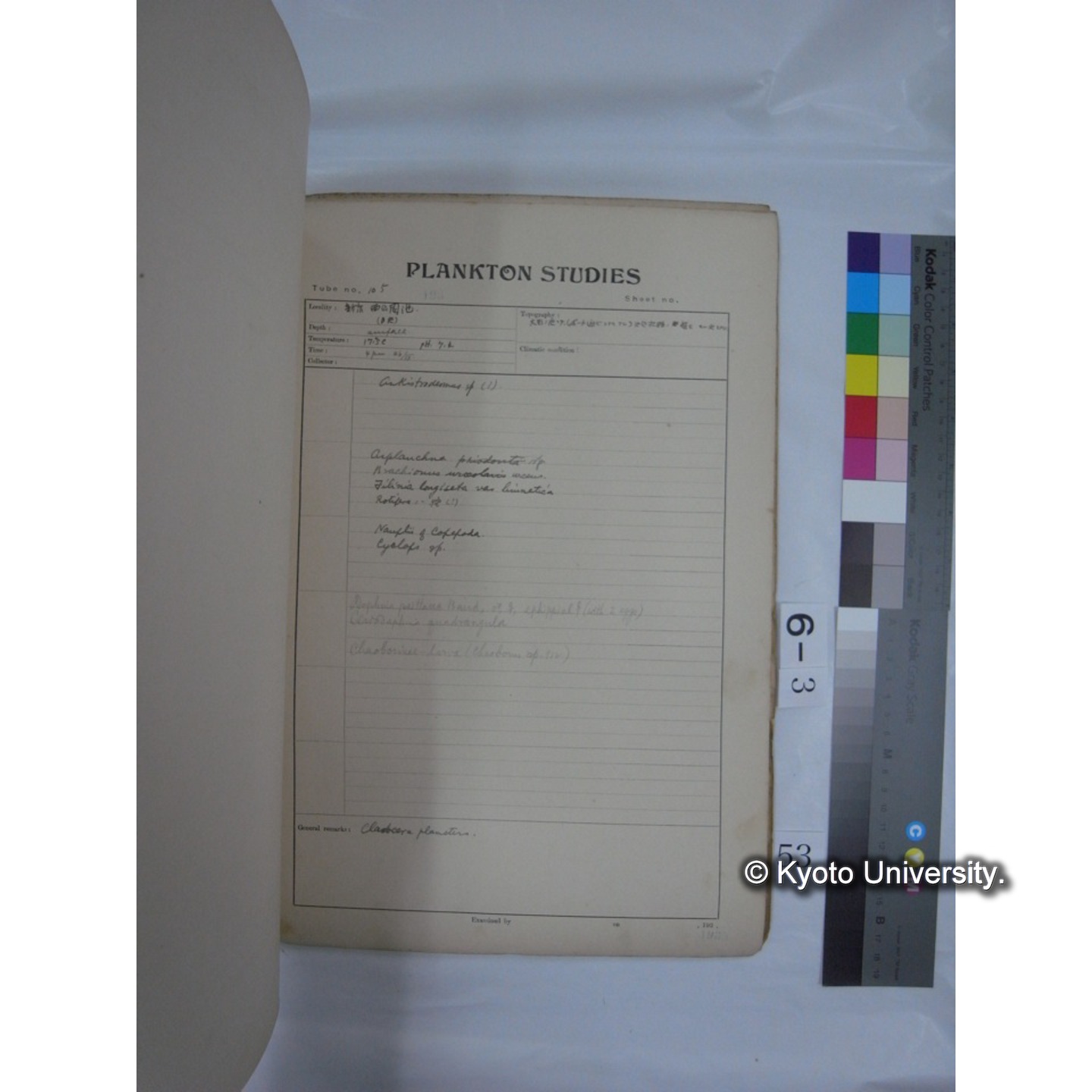 プランクトン標本調査カード (昭和10年,満州調査時採集標本他) (54)