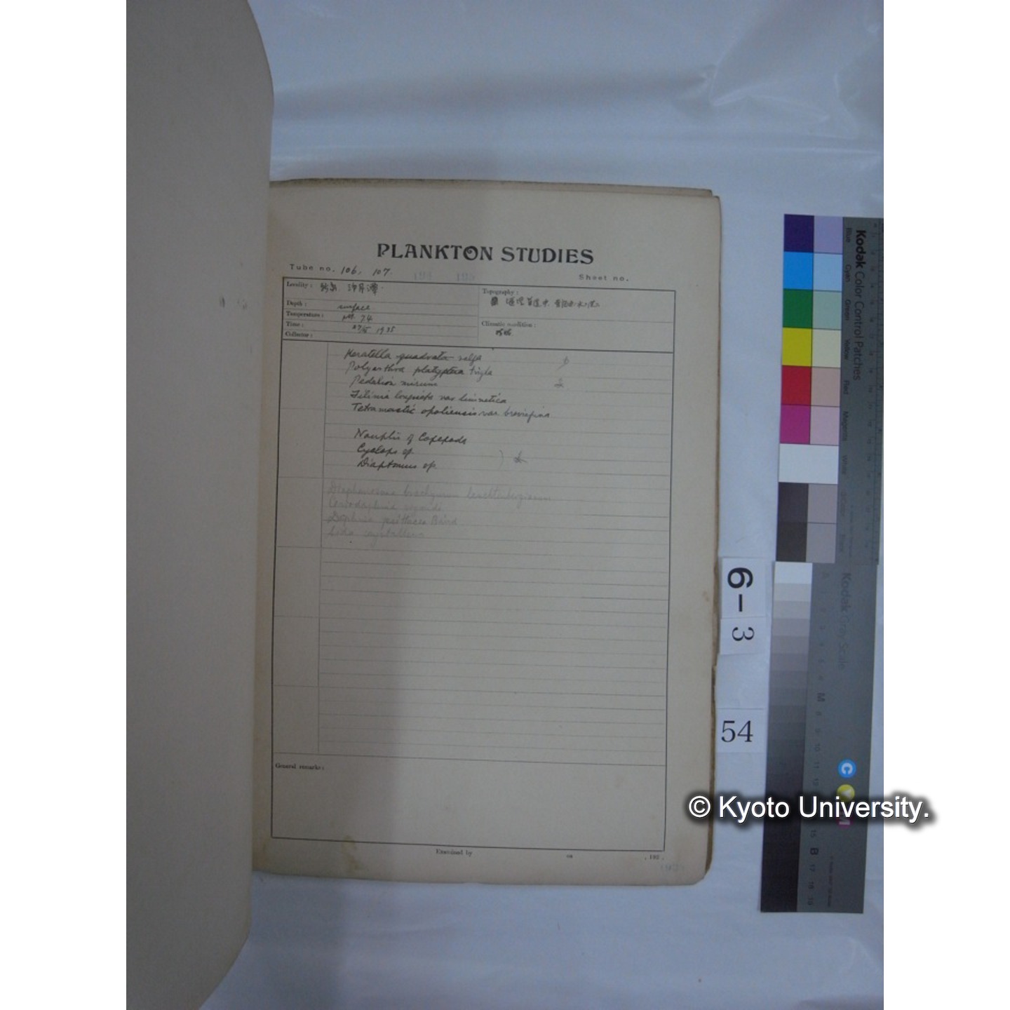 プランクトン標本調査カード (昭和10年,満州調査時採集標本他) (55)