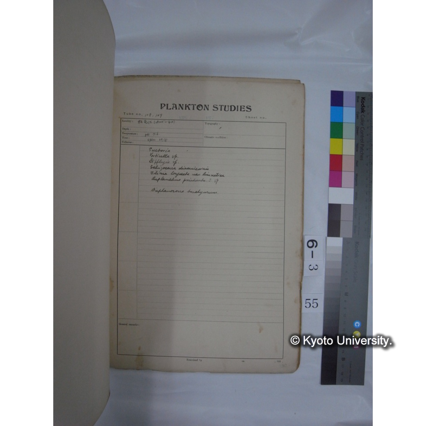 プランクトン標本調査カード (昭和10年,満州調査時採集標本他) (56)