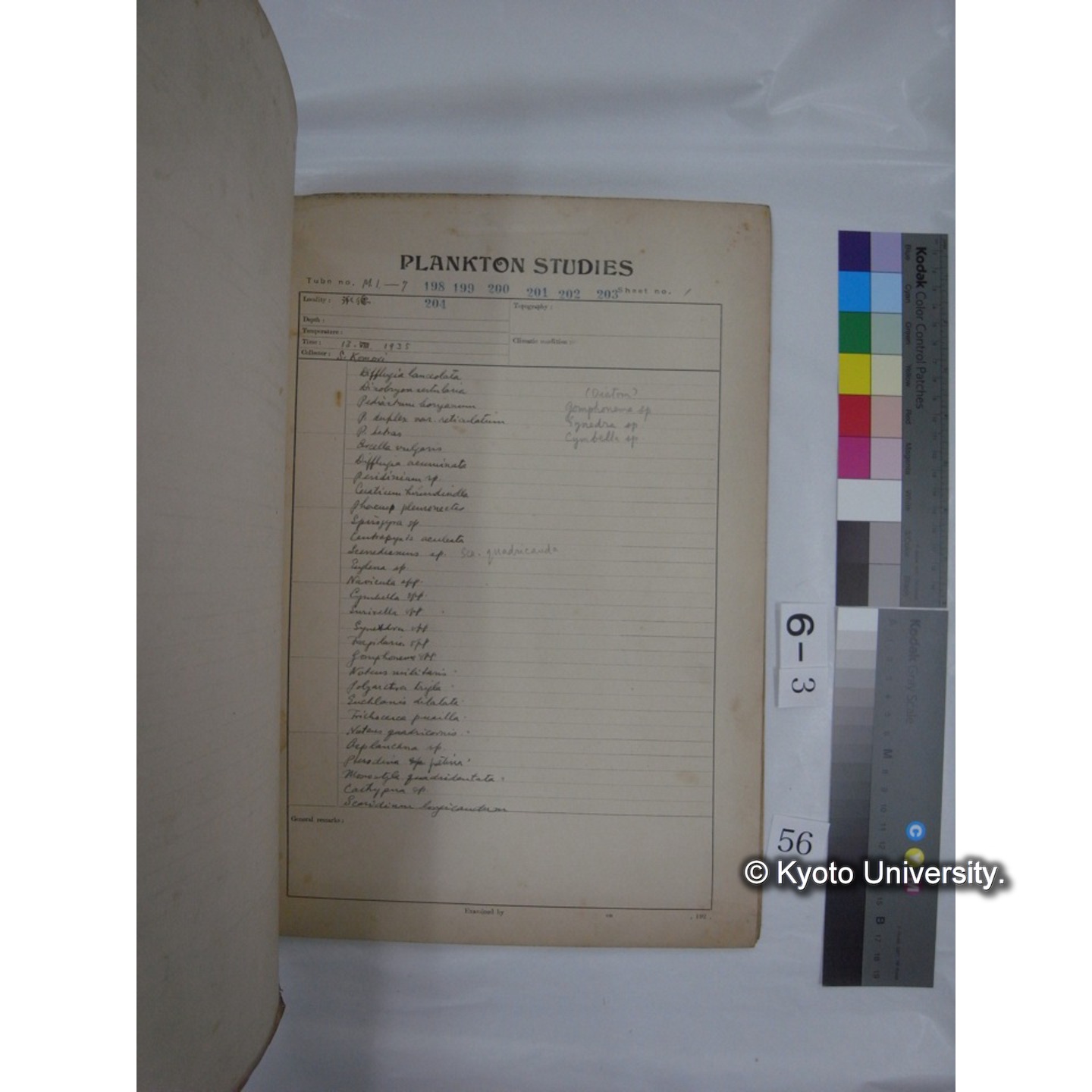 プランクトン標本調査カード (昭和10年,満州調査時採集標本他) (57)